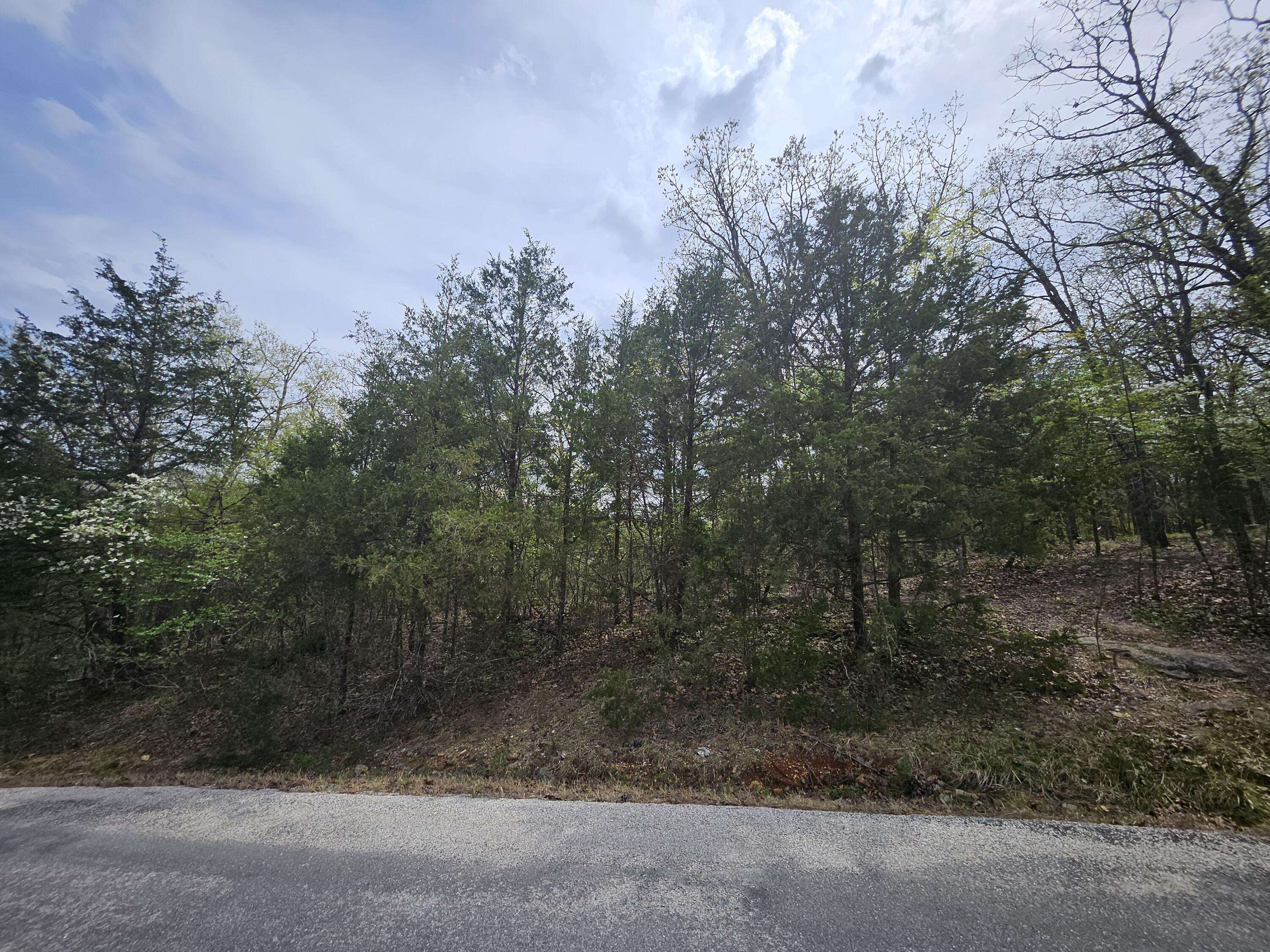 Branson, MO 65616,000 Guillian DR