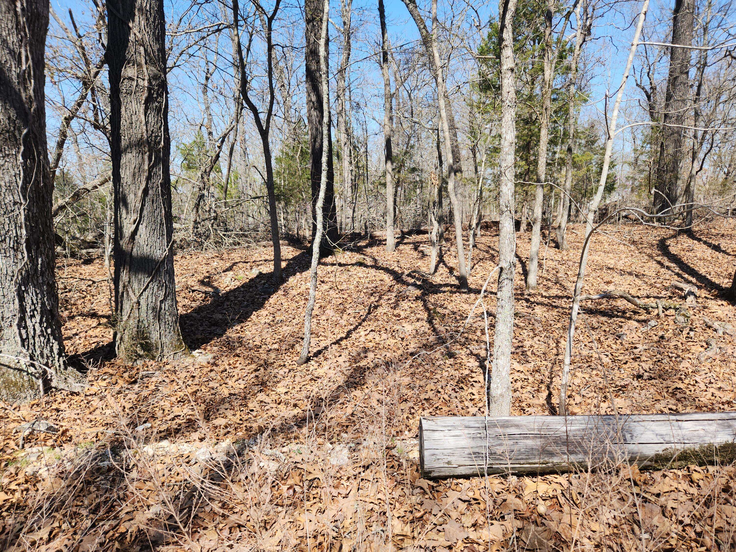 Cedar Creek, MO 65627,000 Powell Blvd #Lot 8