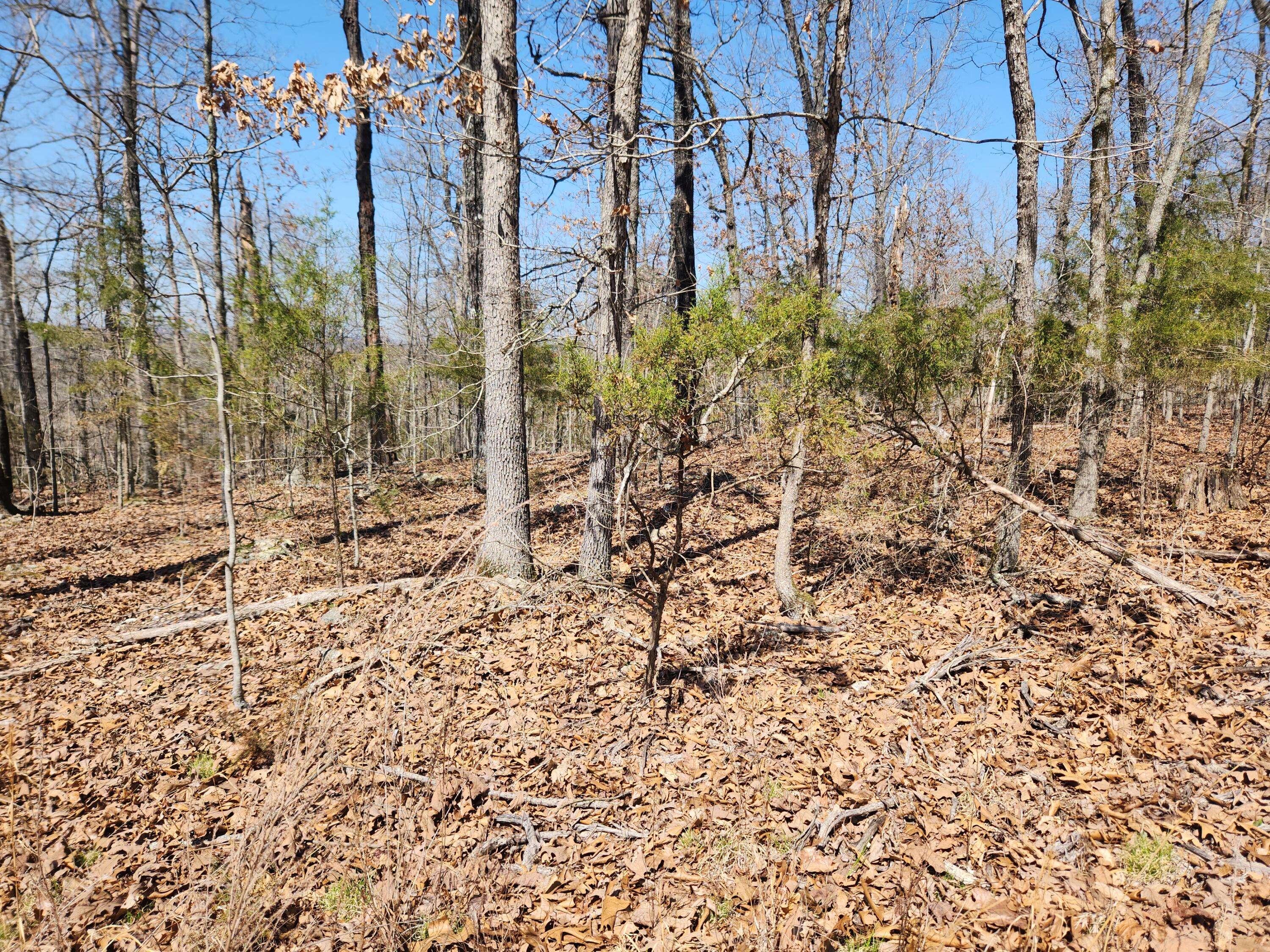 Cedar Creek, MO 65627,000 Powell Blvd #Lot 8