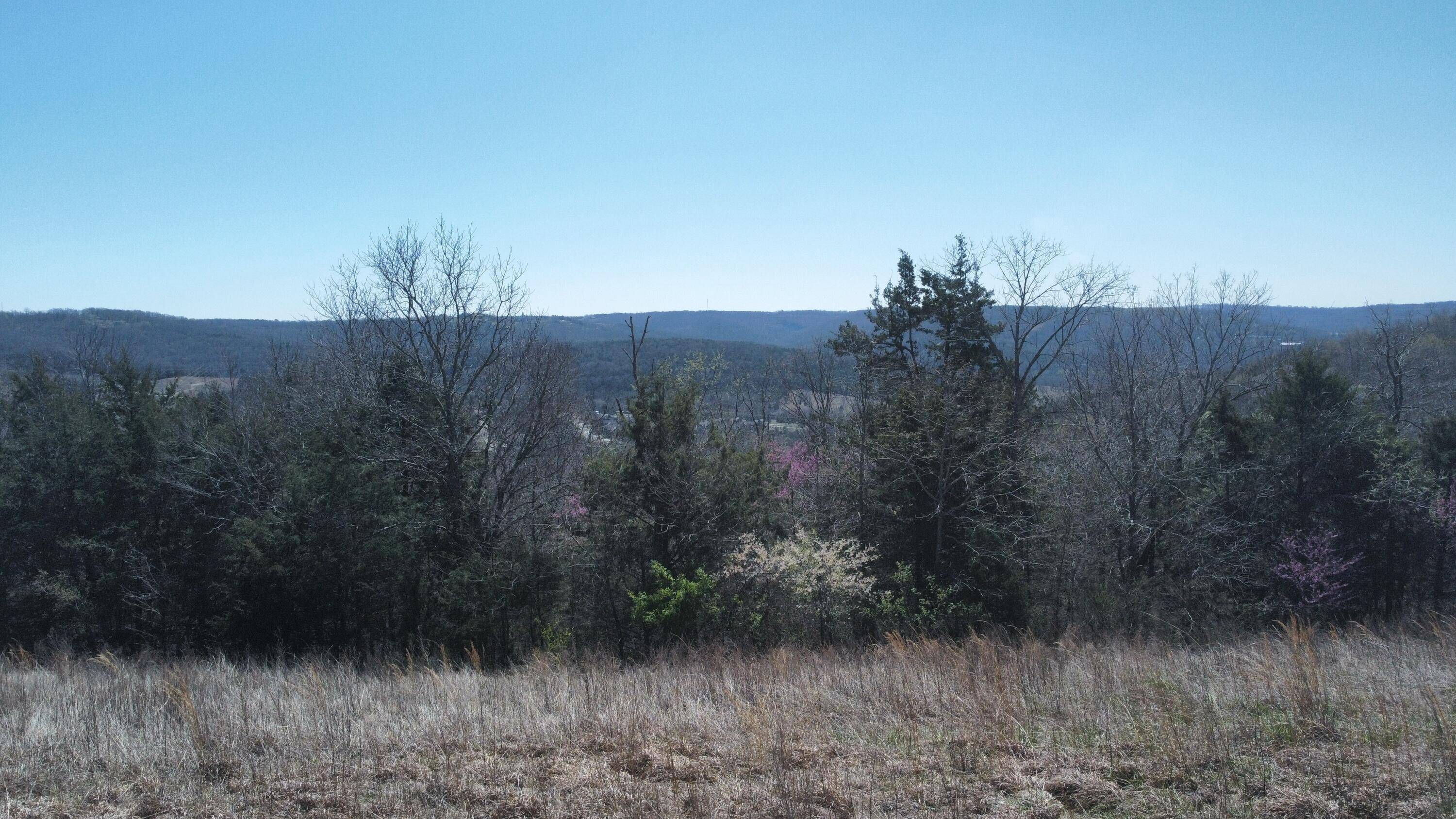 Hollister, MO 65672,000 Emerald Point Lot 327 DR