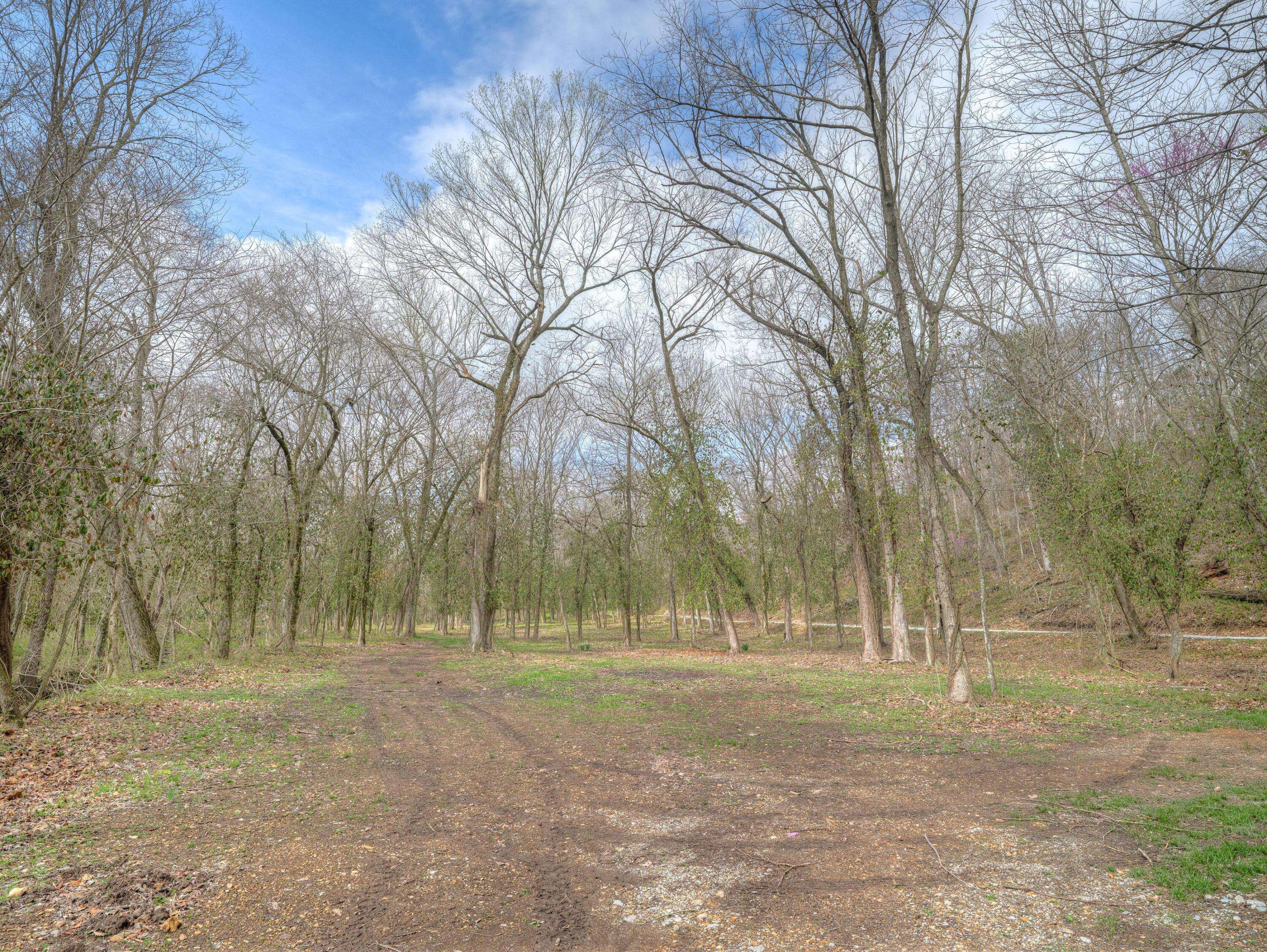 Anderson, MO 64831,636 Wilderness WAY