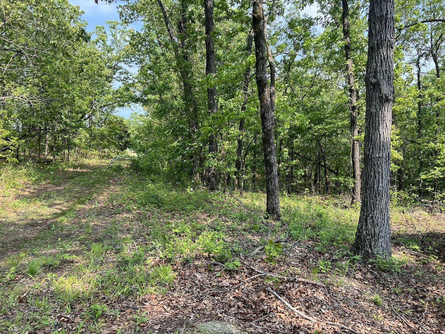 Hardy, AR 72542,100 Pawnee LN