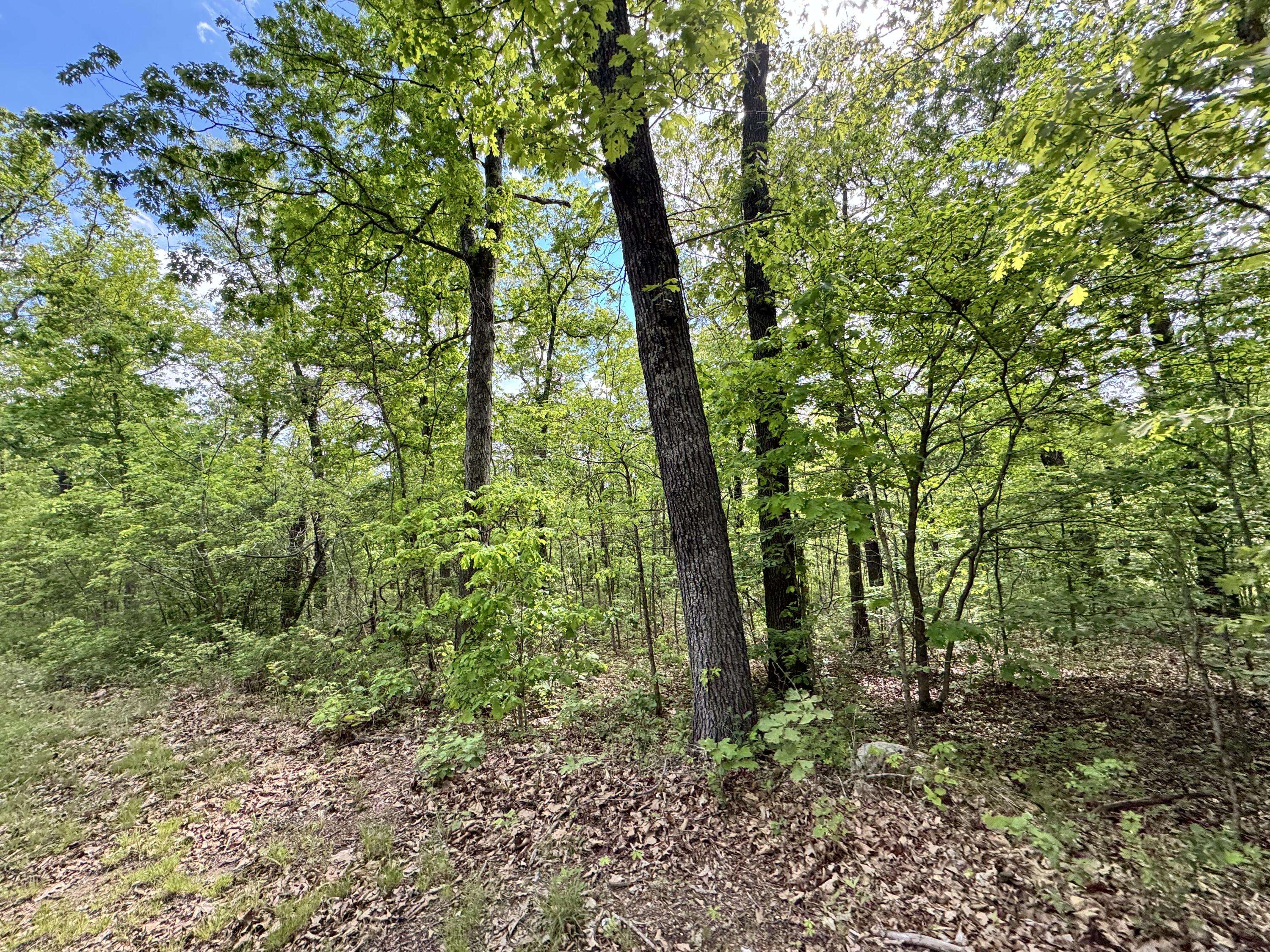 Edwards, MO 65326,Lot 2250 Bradley Lane
