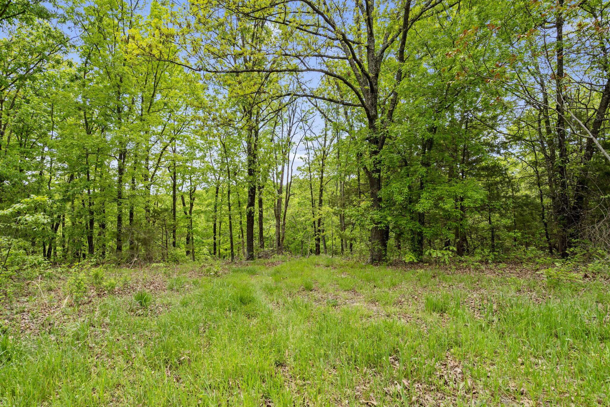 Kimberling City, MO 65686,Lot 9 Gemstone Acres