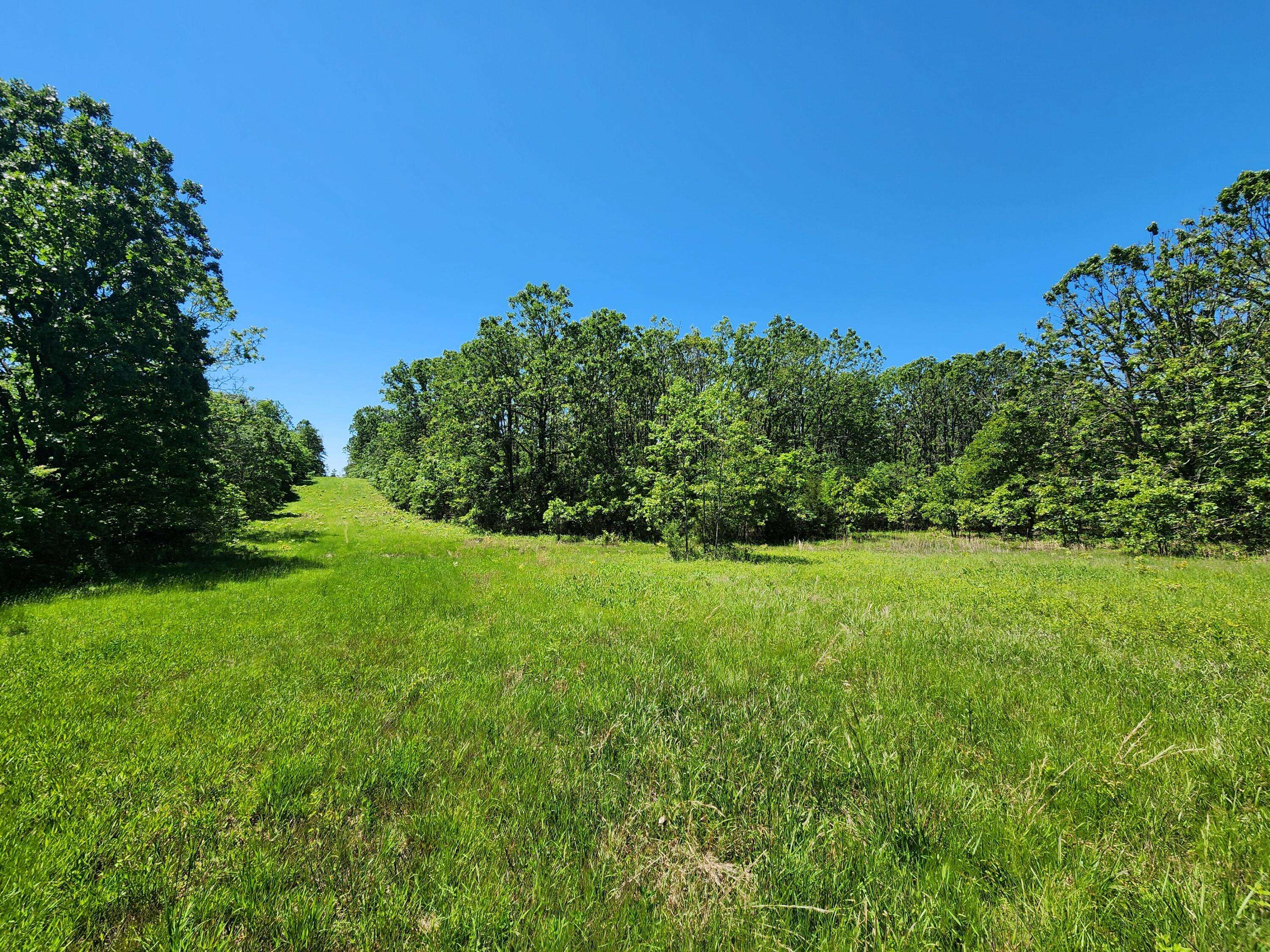 Mountain View, MO 65548,000 County Road 3330