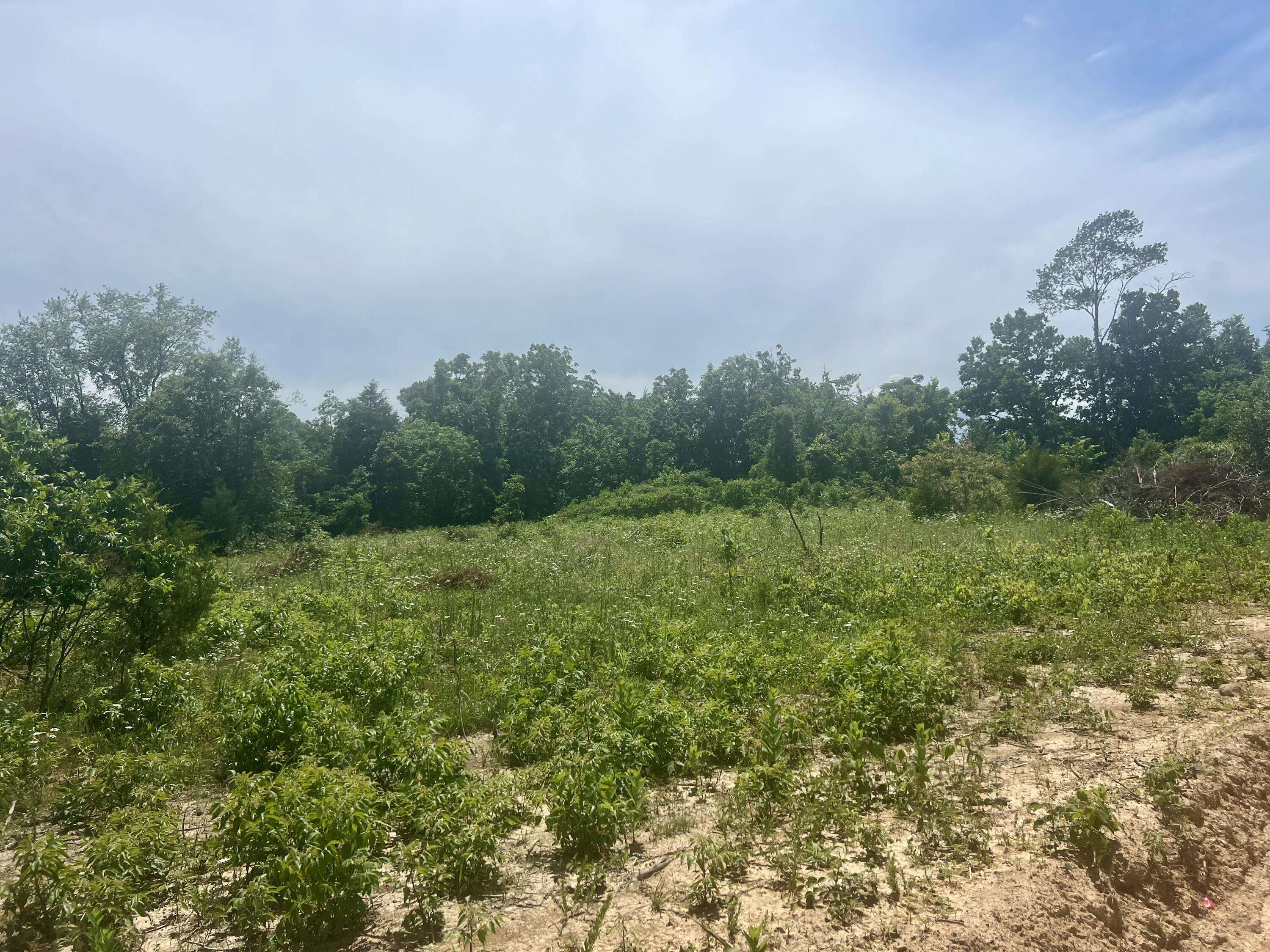 Cassville, MO 65625,Lot 3 Highway 112