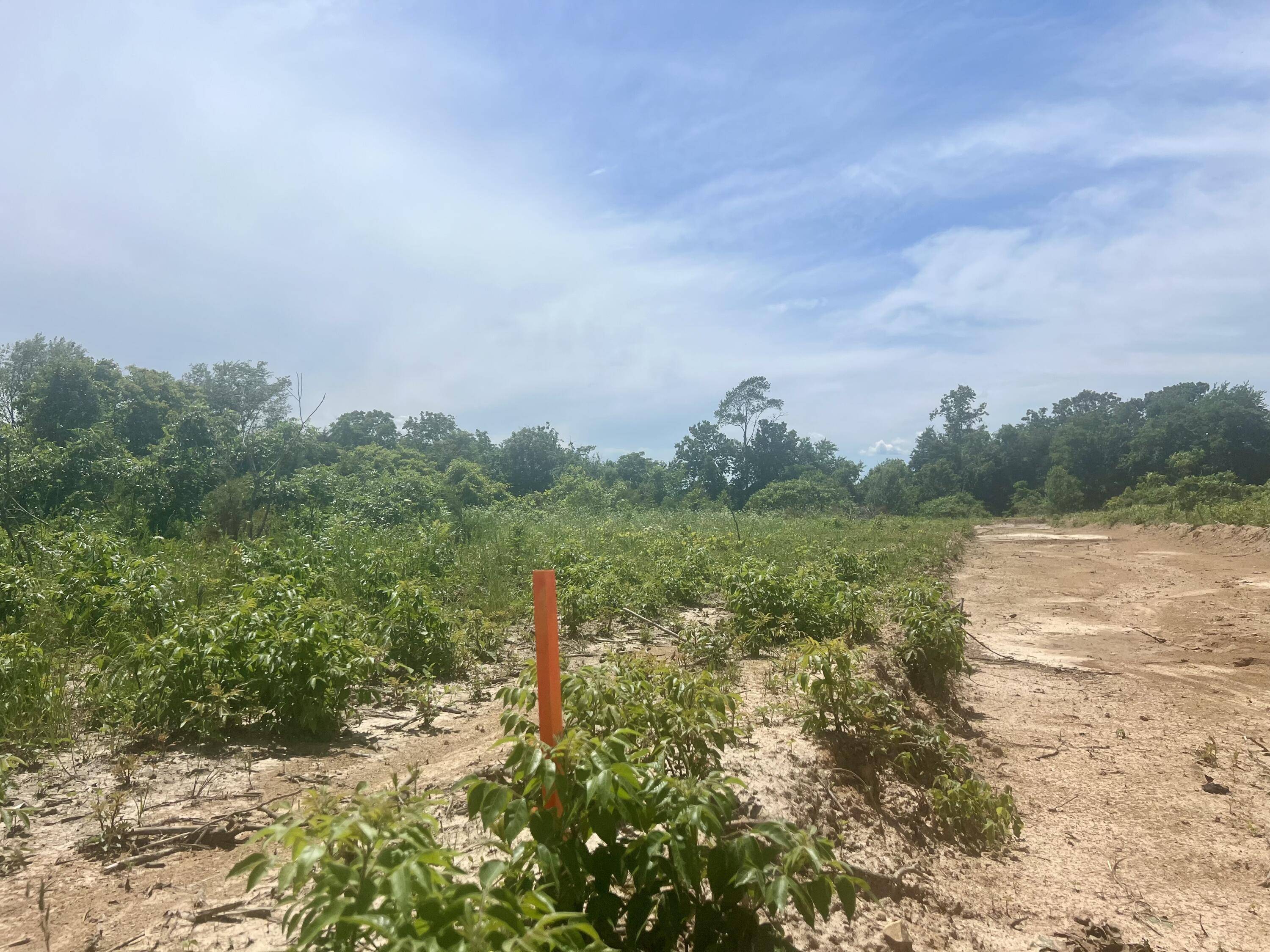 Cassville, MO 65625,Lot 3 Highway 112