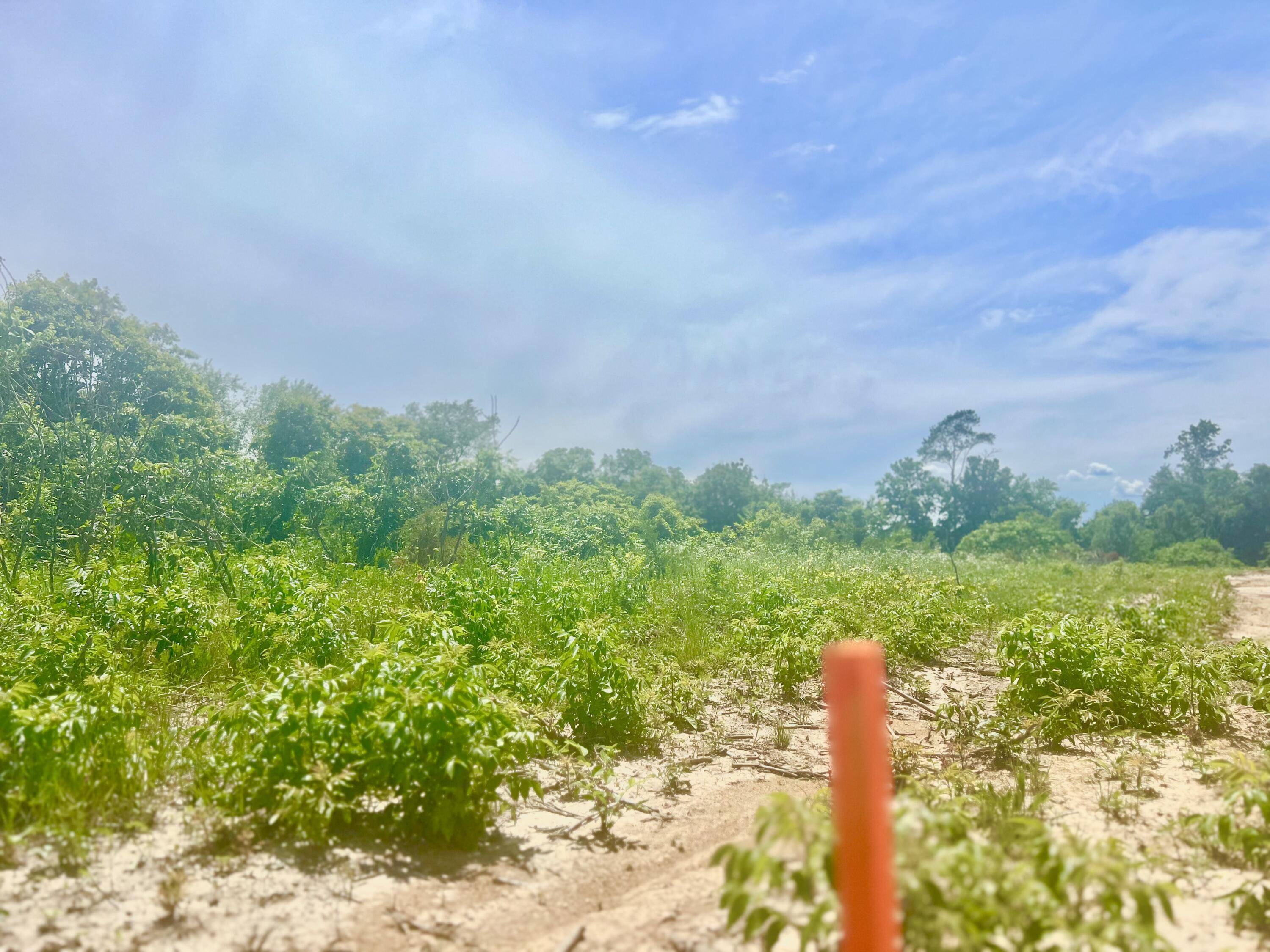 Cassville, MO 65625,Lot 1 Highway 112
