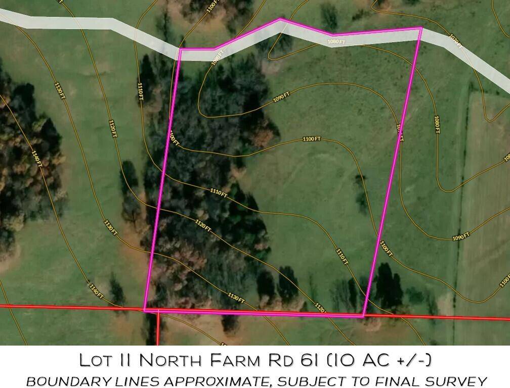 Walnut Grove, MO 65770,Lot 11 N Farm Road 61