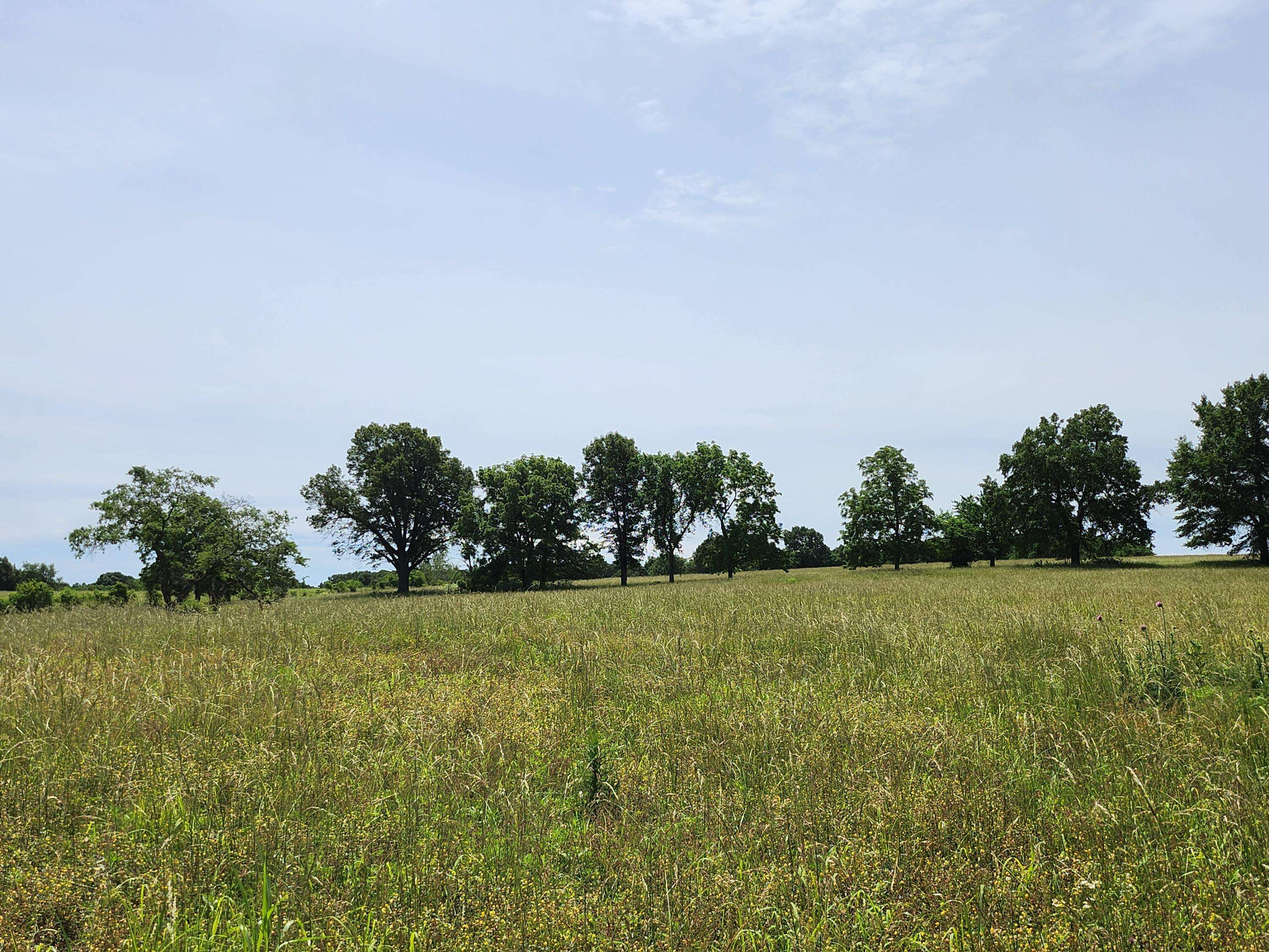 Walnut Grove, MO 65770,Lot 11 N Farm Road 61