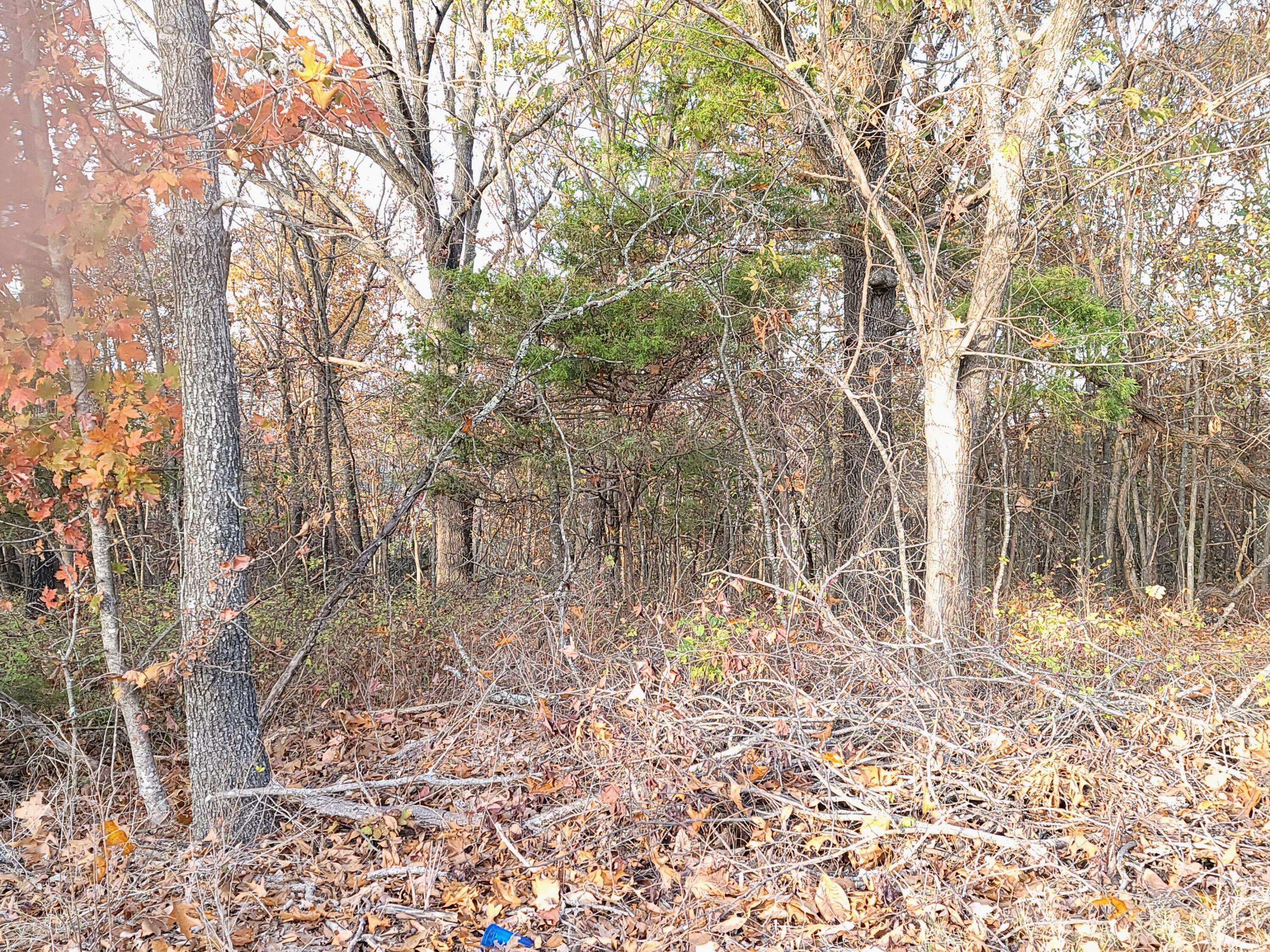 Branson, MO 65616,1690 Skyview DR