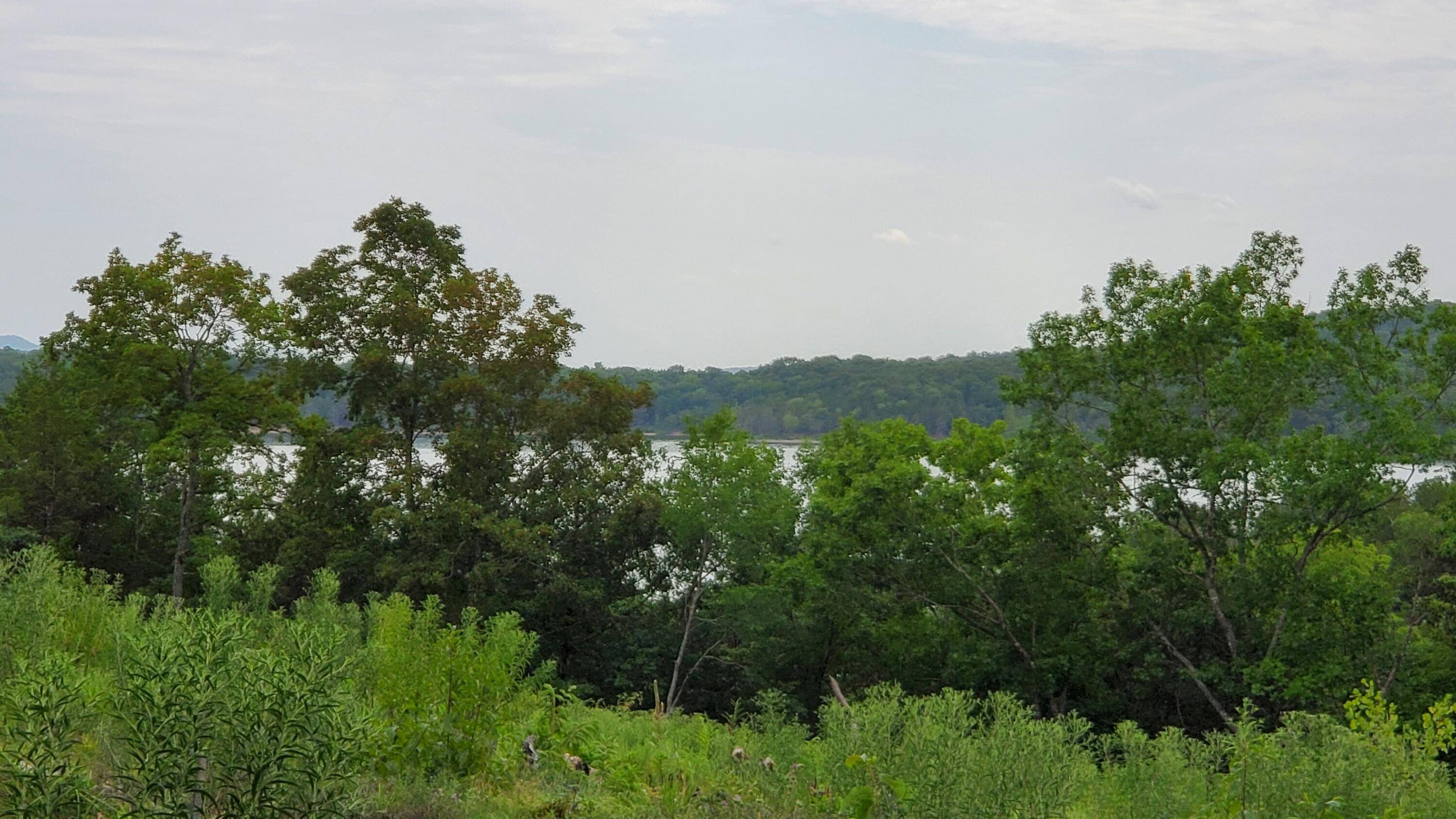 Kimberling City, MO 65686,000 Lot 79 Summer Breeze