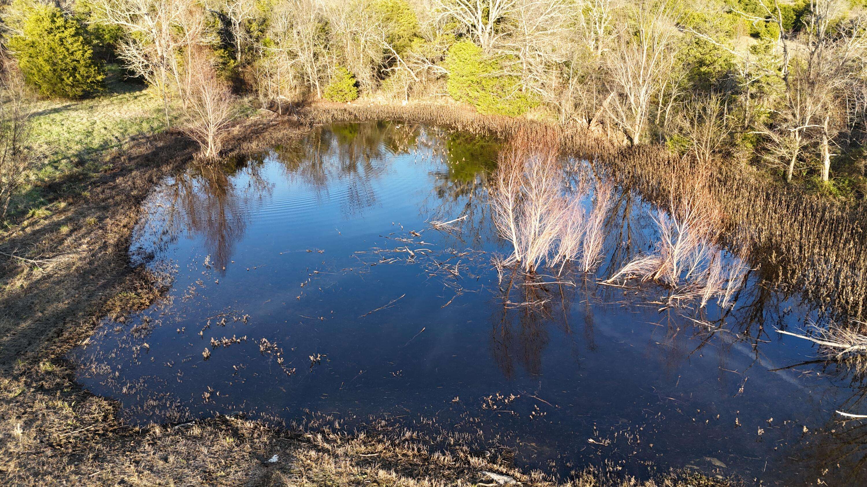 Eagle Rock, MO 65641,000 Highway 86