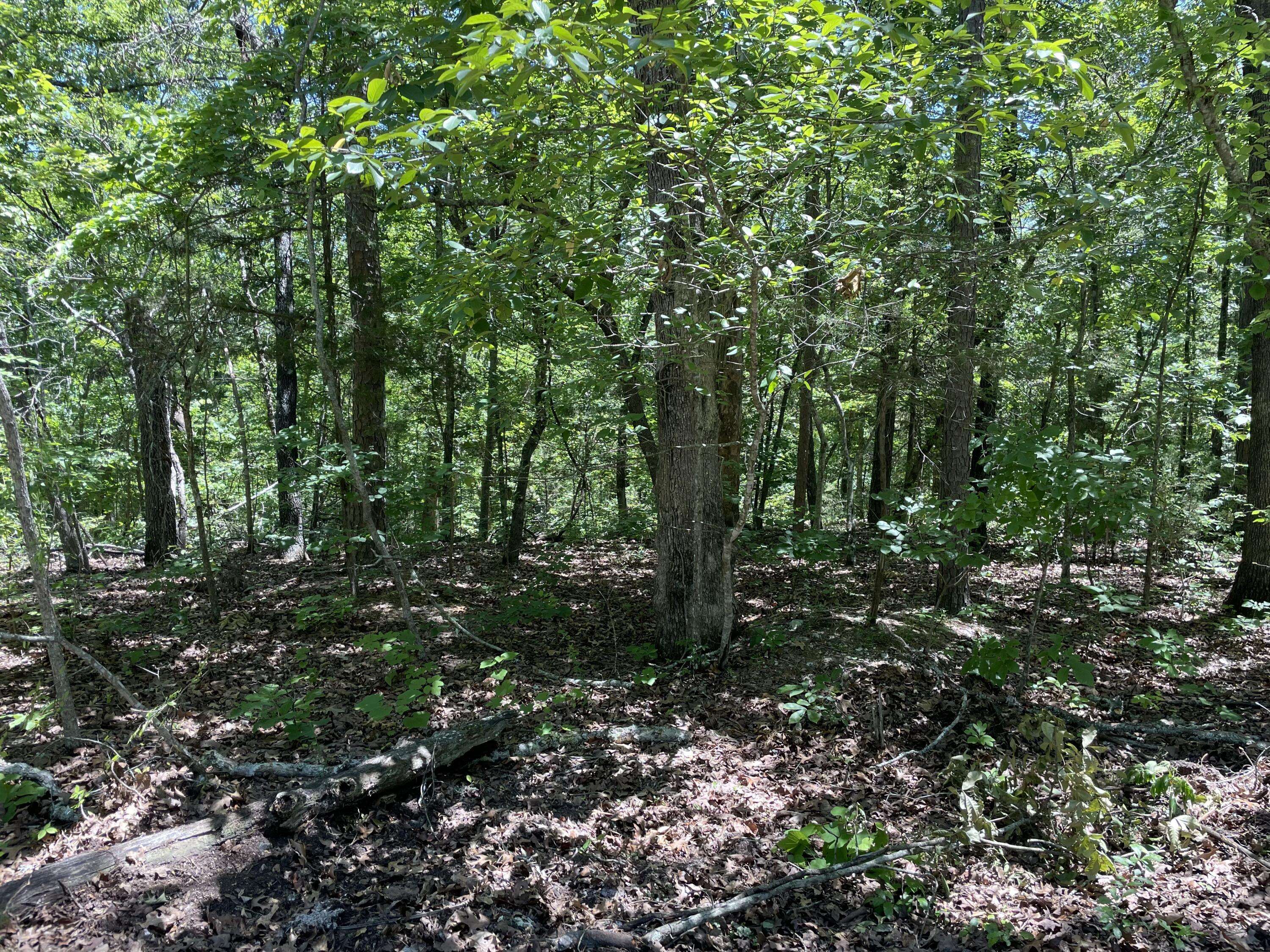 Eminence, MO 65466,000 County Road V213- Tract 6