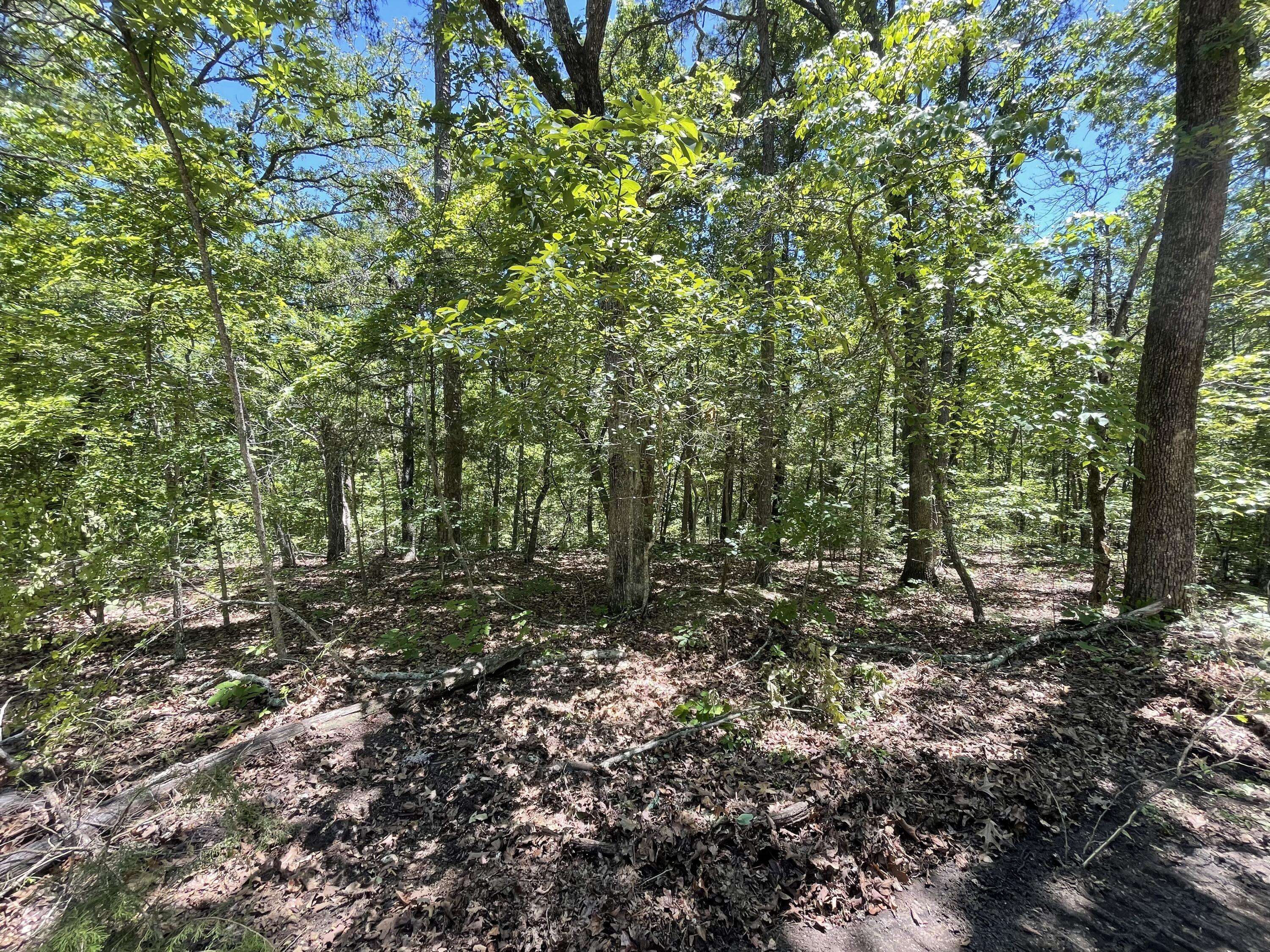 Eminence, MO 65466,000 County Road V213- Tract 6