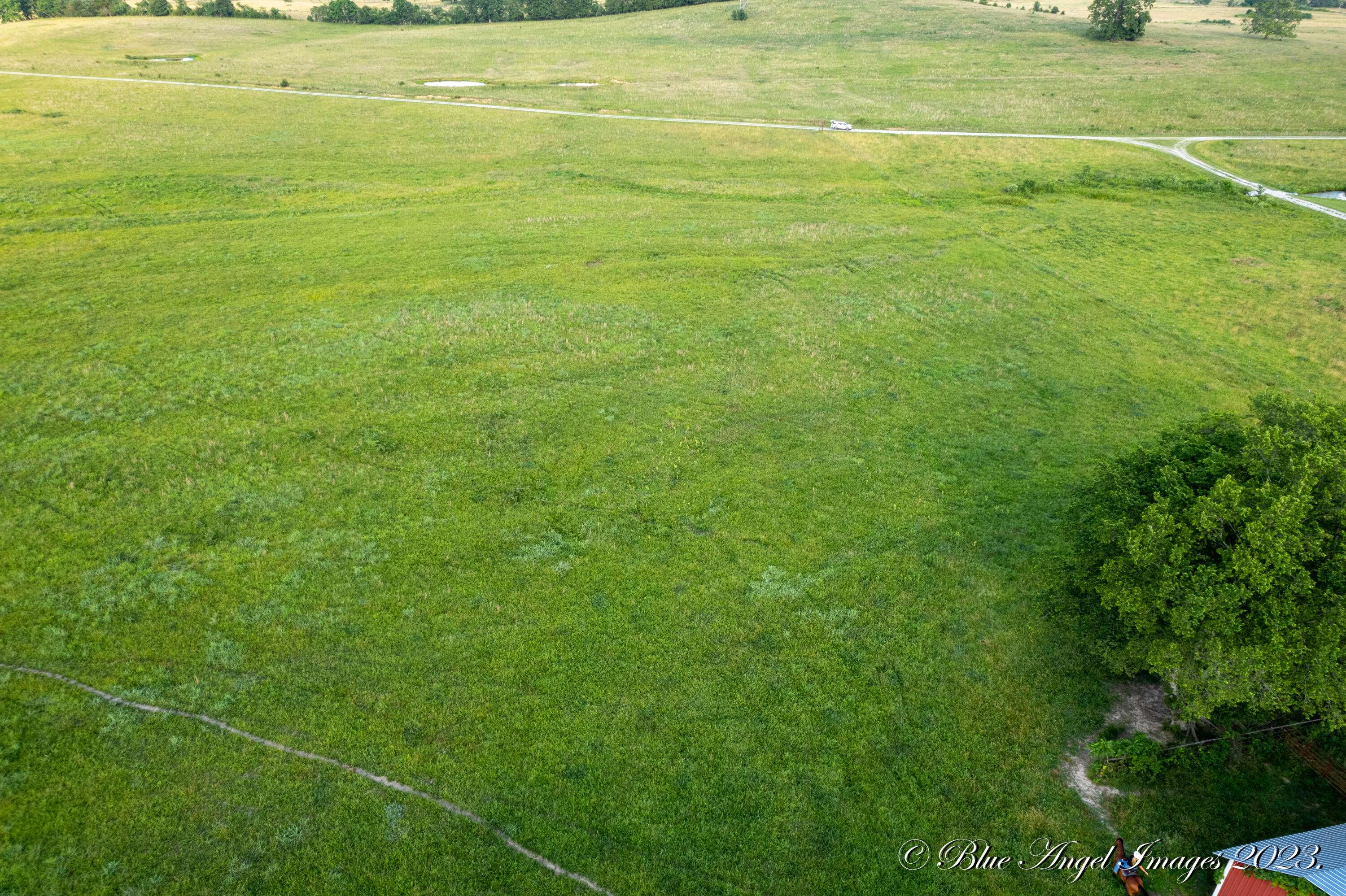 West Plains, MO 65775,000 County Road 7400