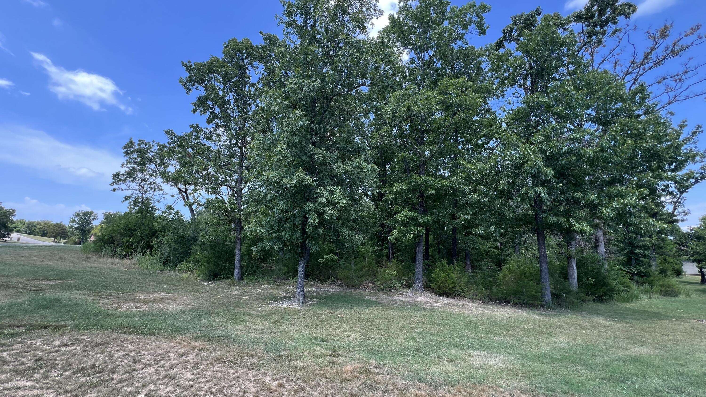 Branson West, MO 65737,Lot 58 Forest Lake DR