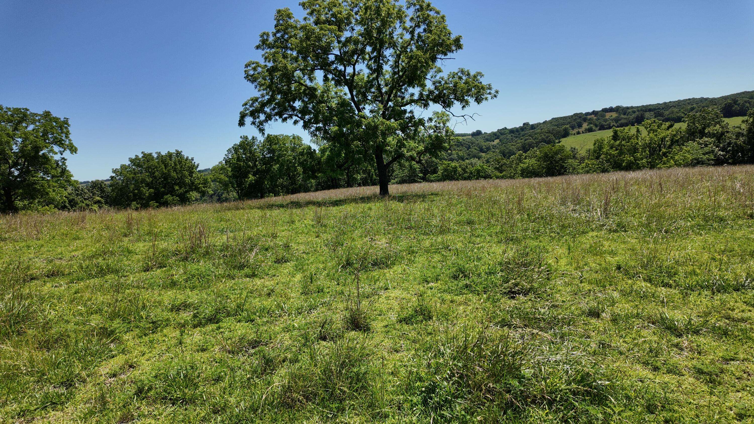 Thornfield, MO 65762,000 County Rd 945