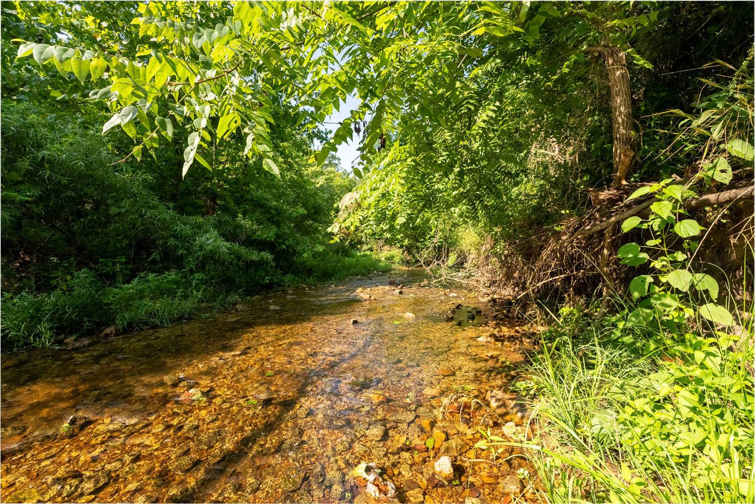 Mammoth Spring, AR 72554,766 Rainbow Valley TRL