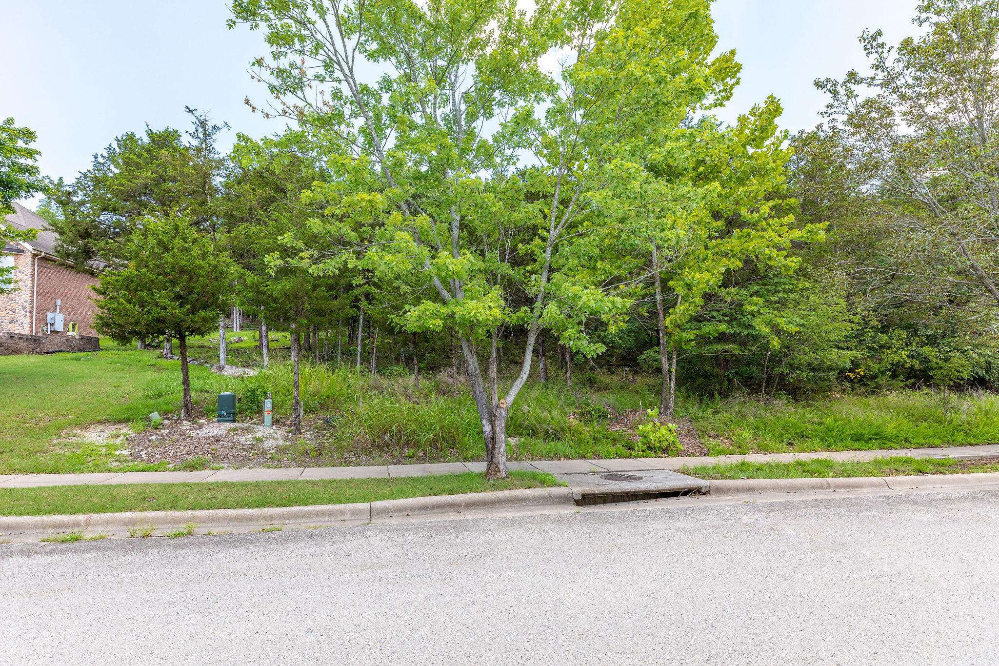 Branson, MO 65616,0 Summerwood DR