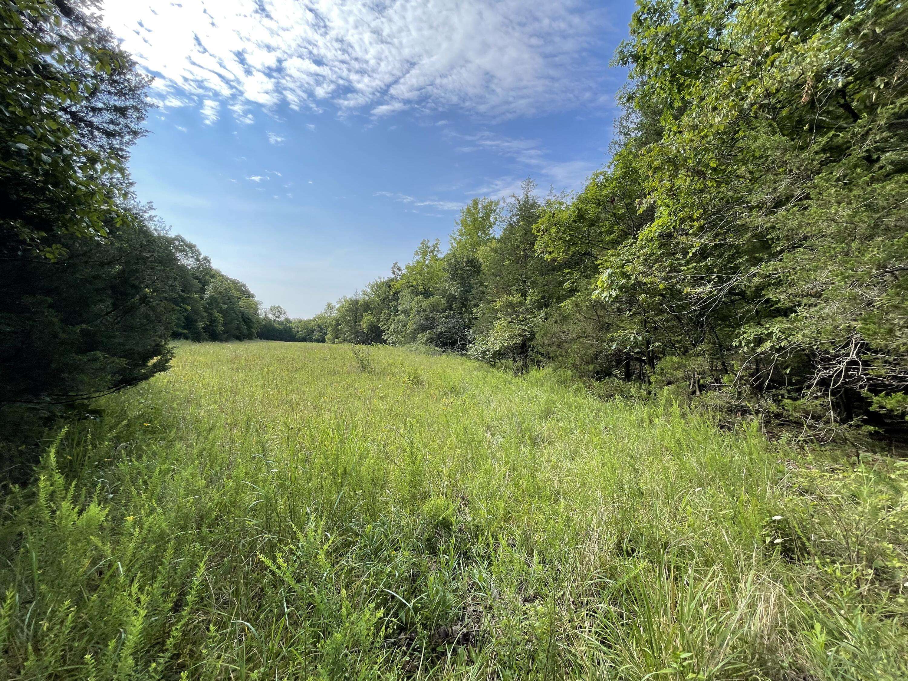 Mansfield, MO 65704,000 Panther Hollow RD