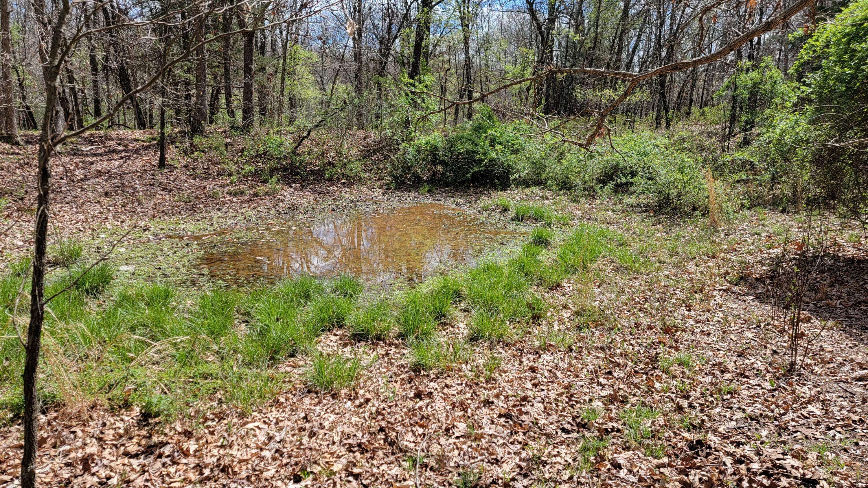 Granby, MO 64844,80 +/- Ac Raven RD