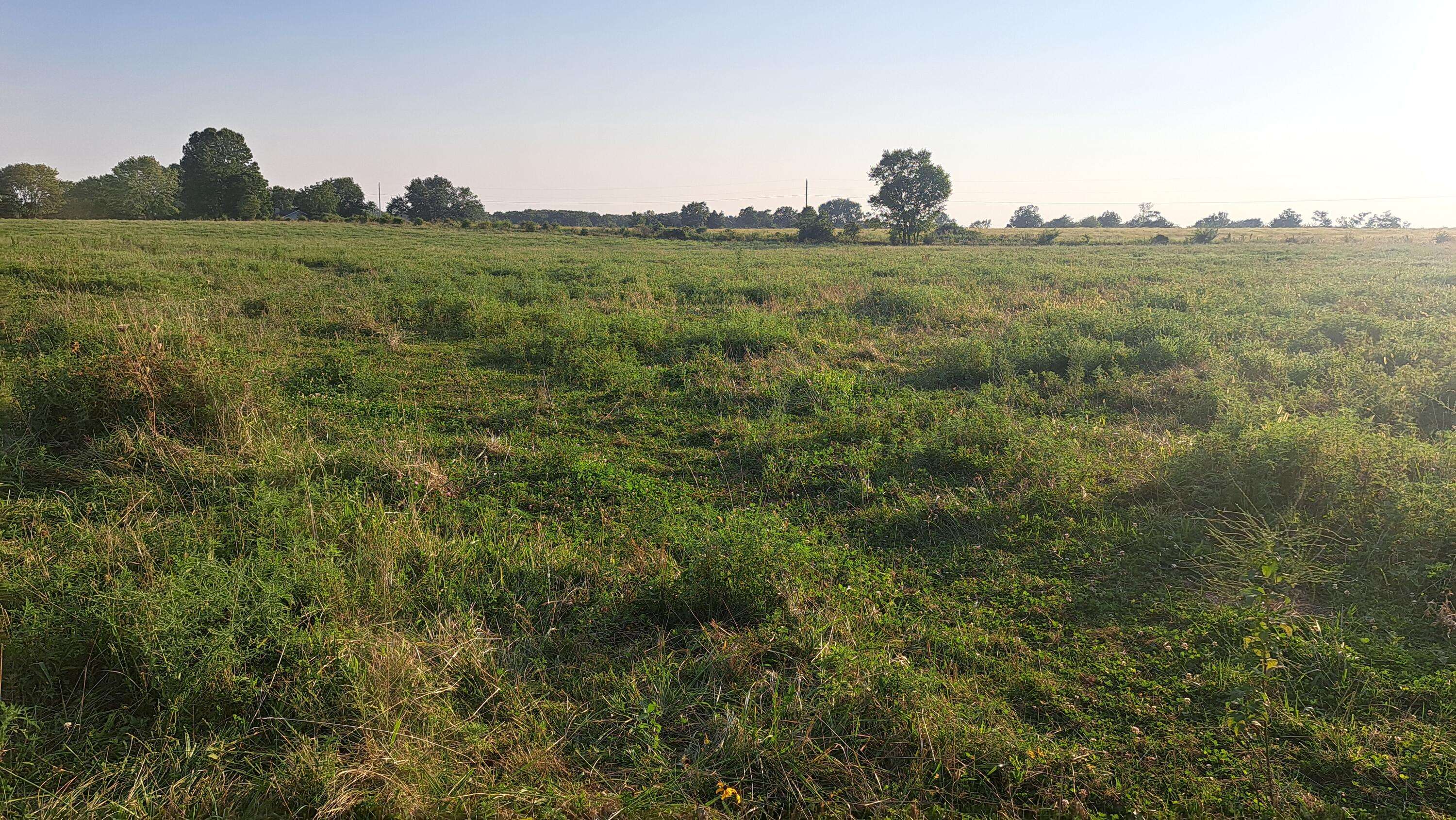 Rogersville, MO 65742,000 Johns Ford Road