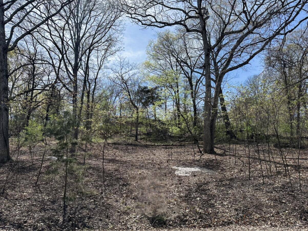 Blue Eye, MO 65611,Lot 75 Country Lane
