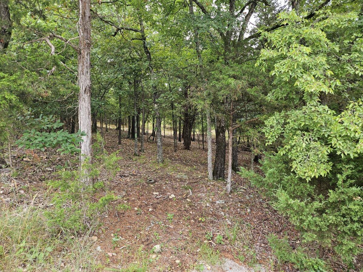 Kimberling City, MO 65686,000 Ph1 Lot 19 Overton Ct