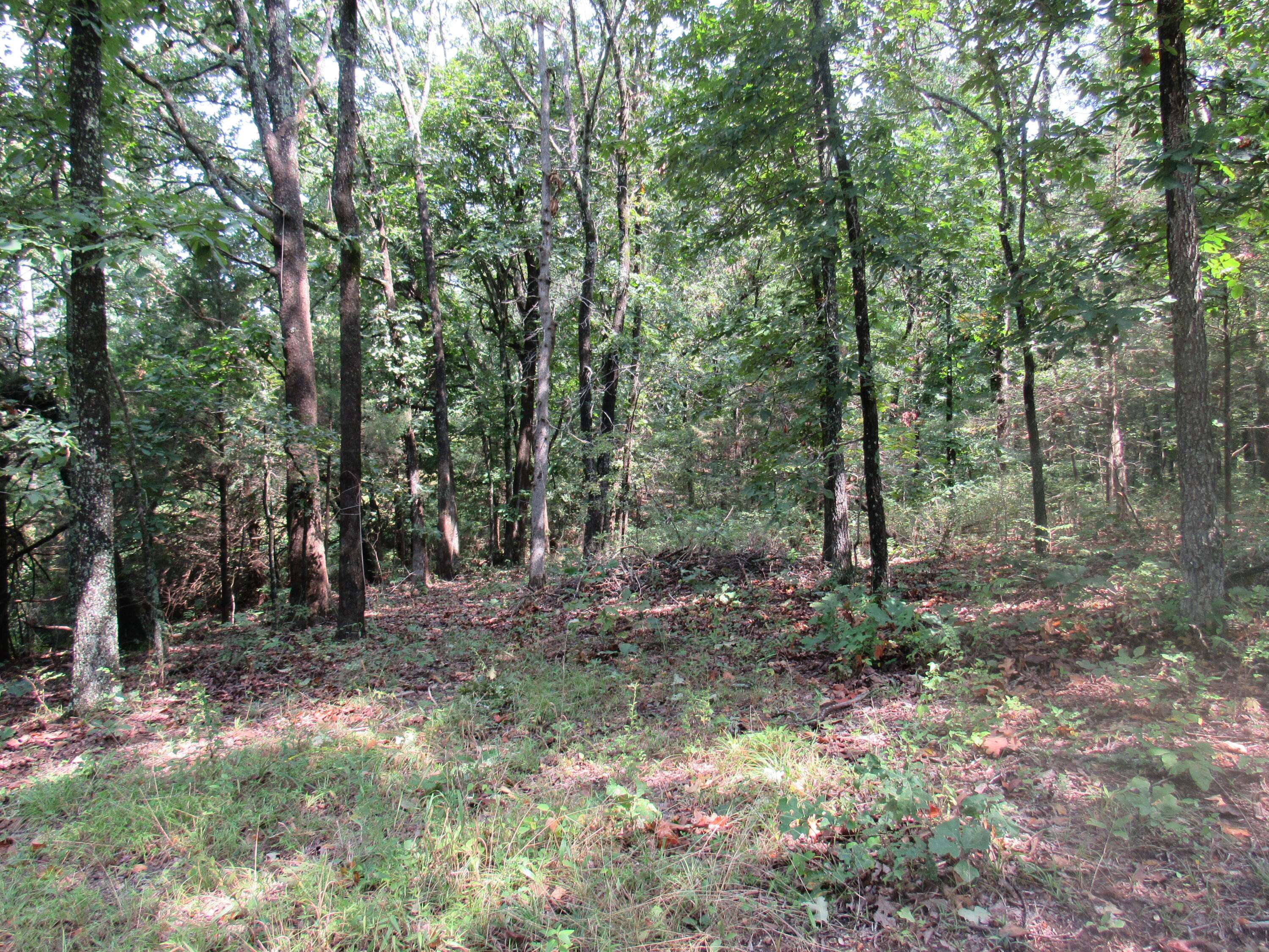 Marshfield, MO 65706,347 Country Farms Drive DR