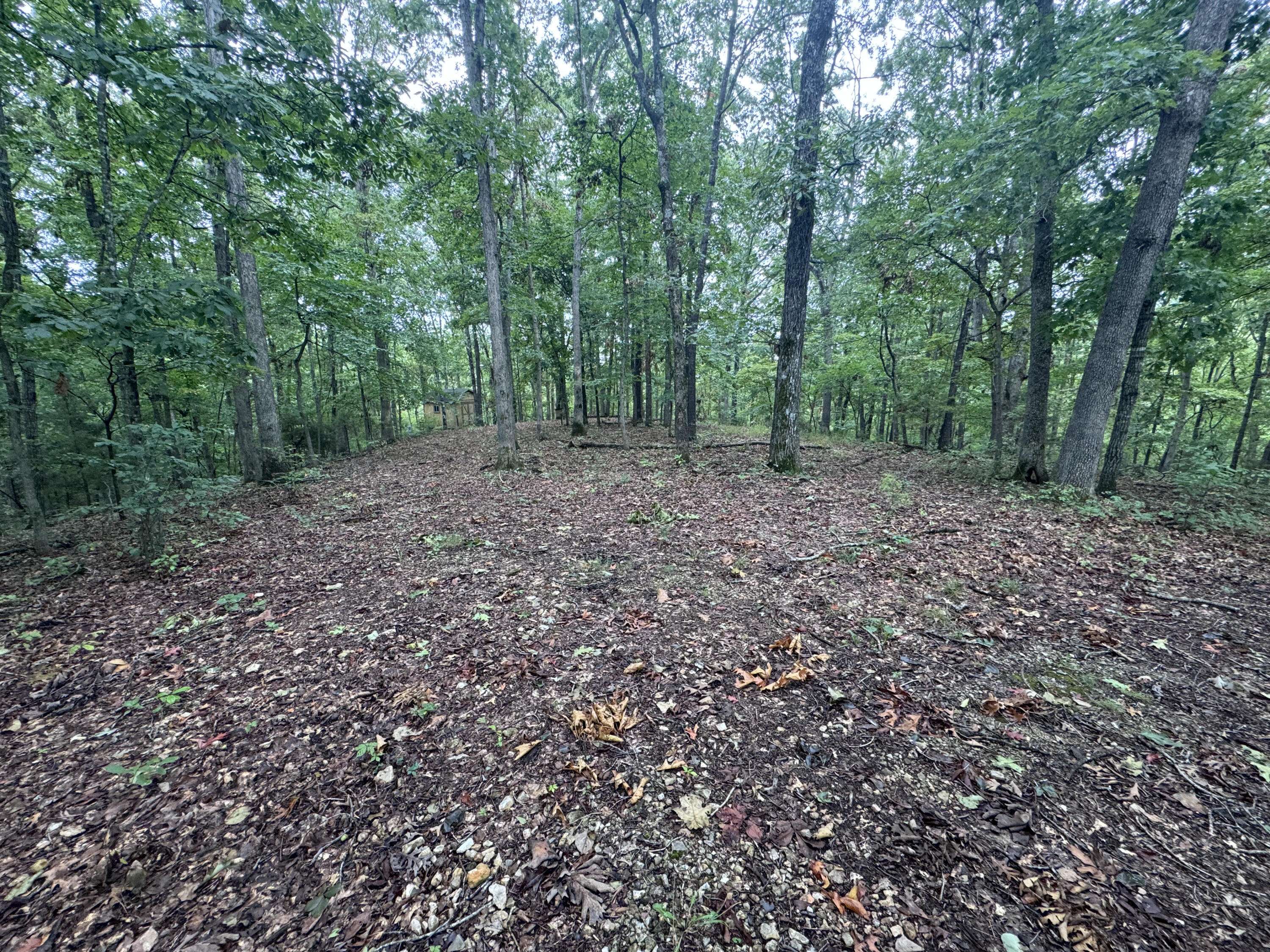 Cassville, MO 65625,Lot 51 Coyote Ridge. RD