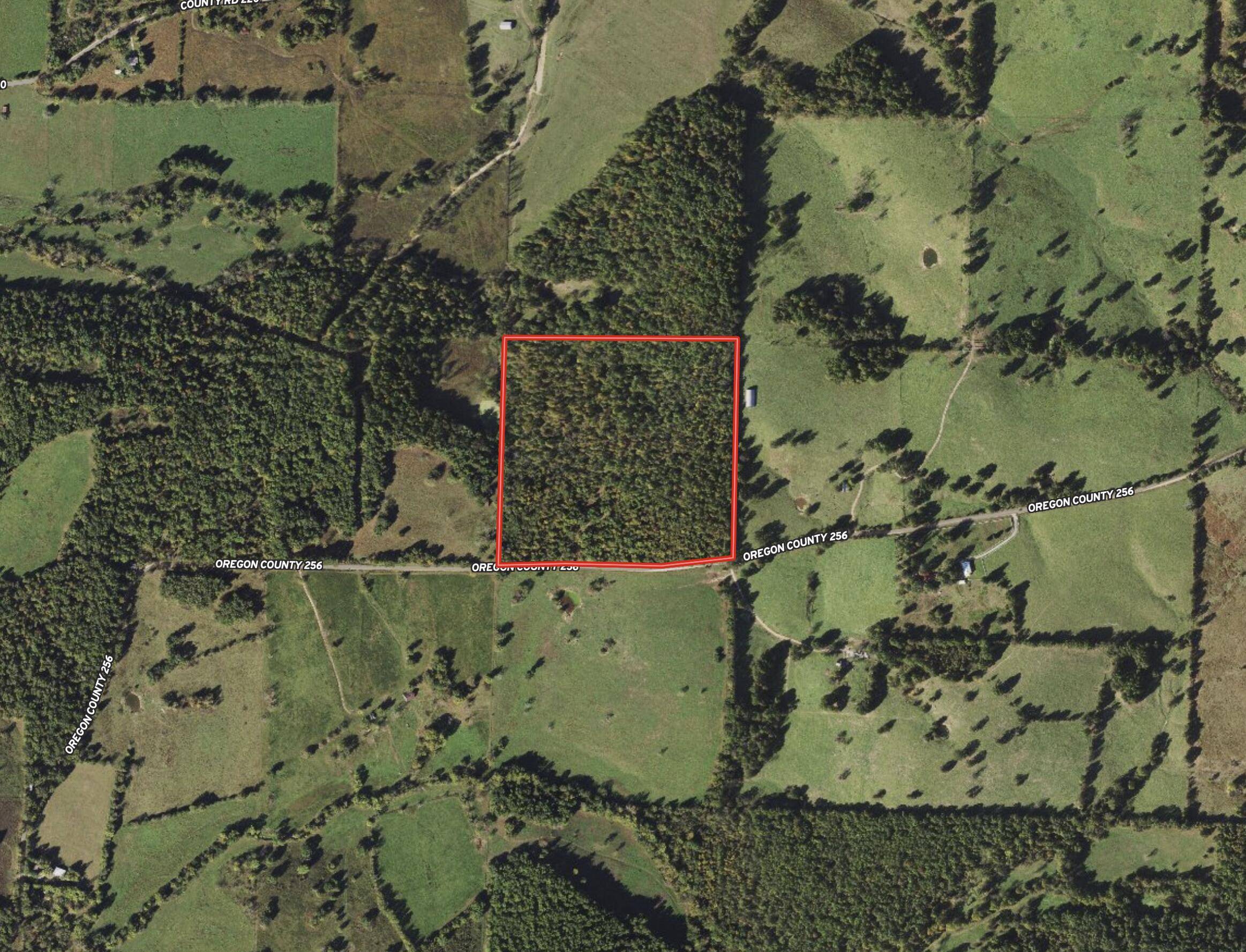 Thayer, MO 65791,2991 County Road 256