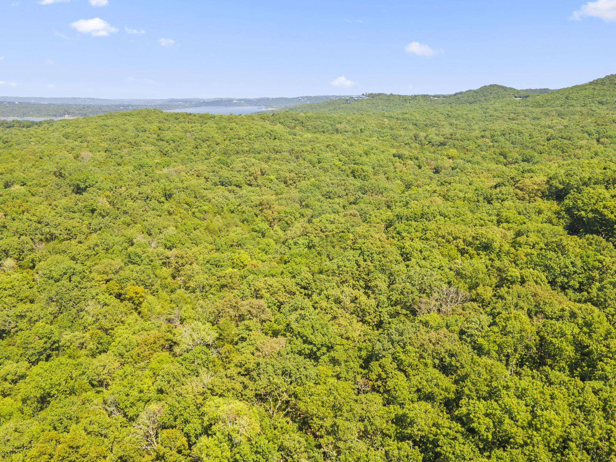 Lampe, MO 65681,000 Falling Star RD