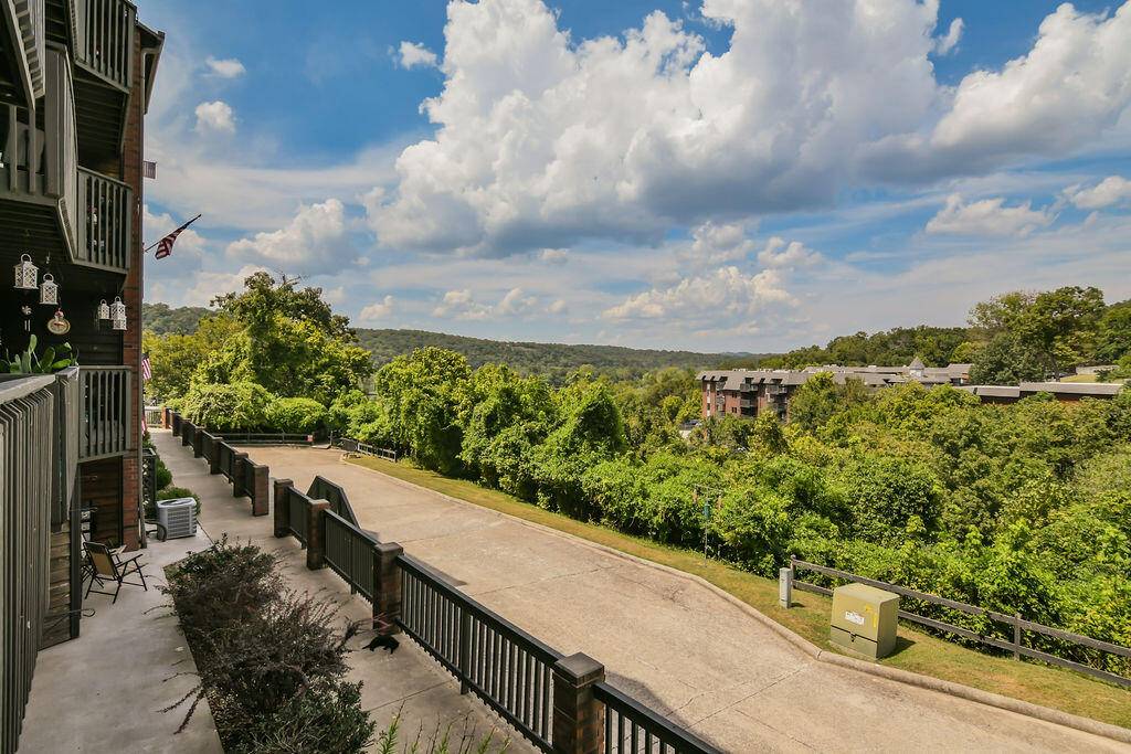 Forsyth, MO 65653,150 Sunken Forest DR #245