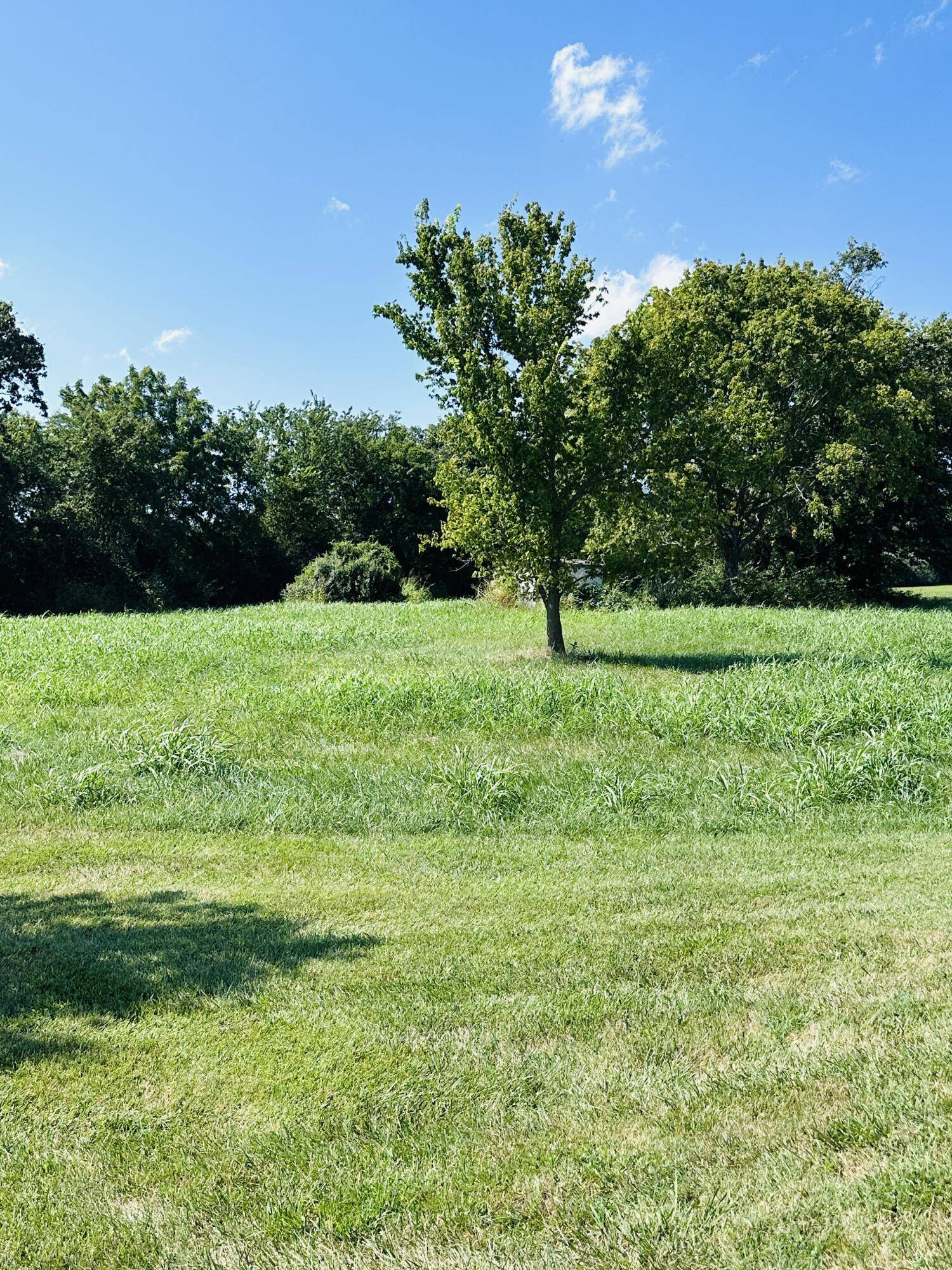 Bolivar, MO 65613,000 S 154th RD