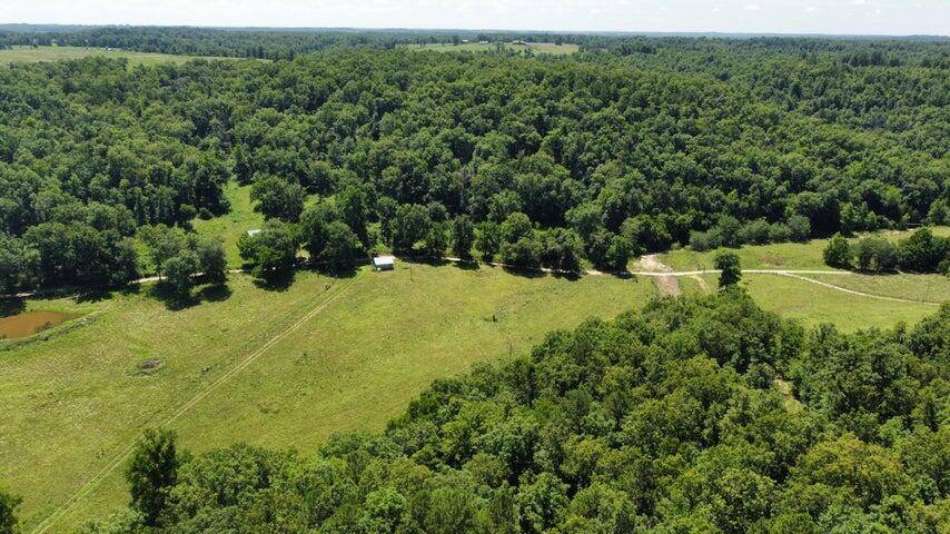 Dora, MO 65637,000 Tbd County Road 178-A Tract 3