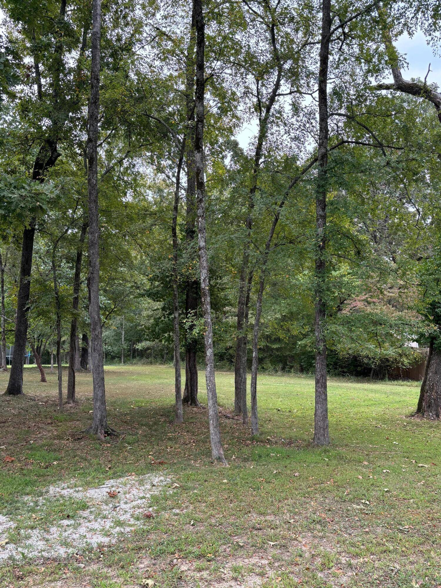 Forsyth, MO 65653,000 S Hickory ST