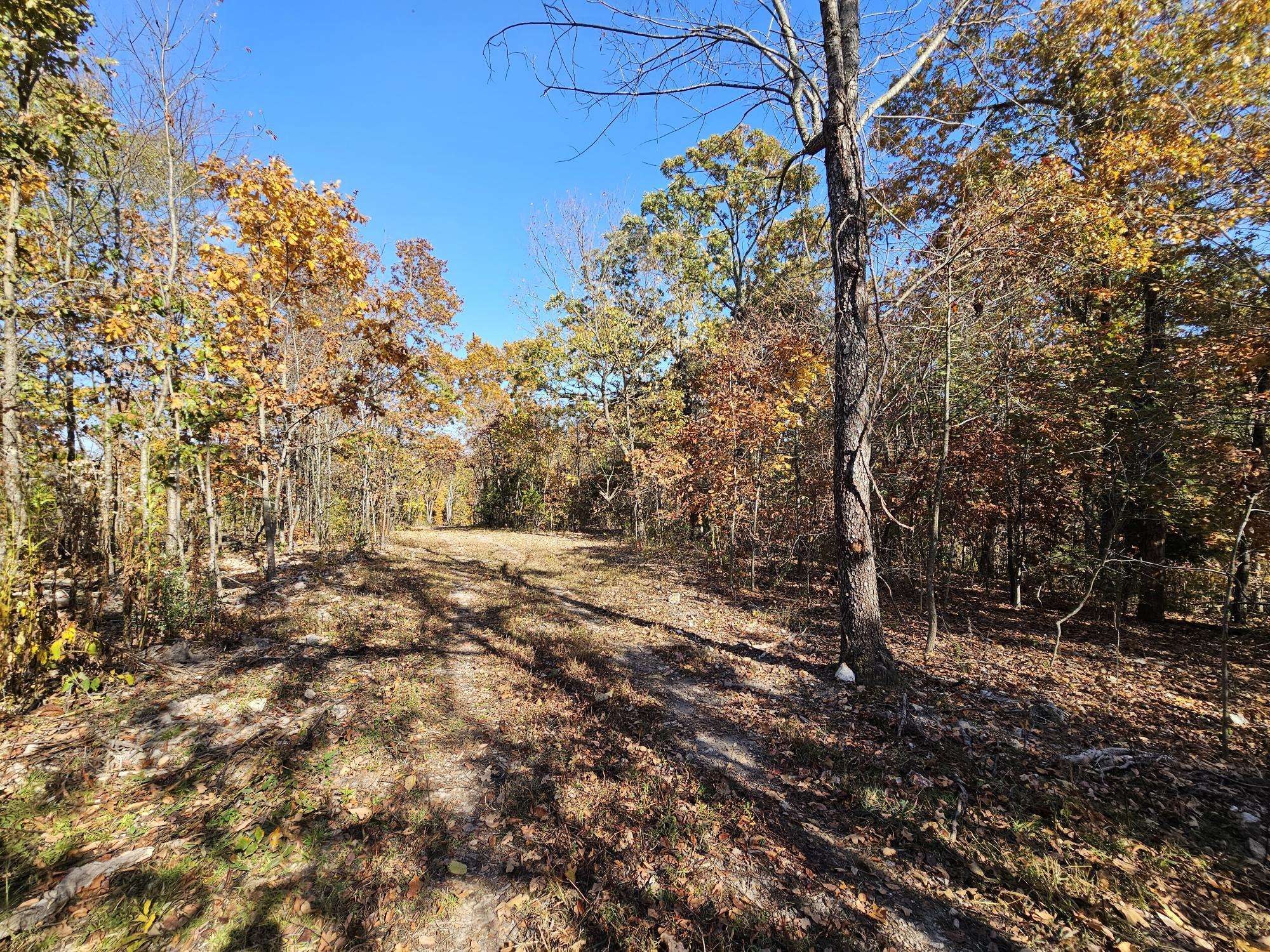 Anderson, MO 64831,Tract 4 Coble LN