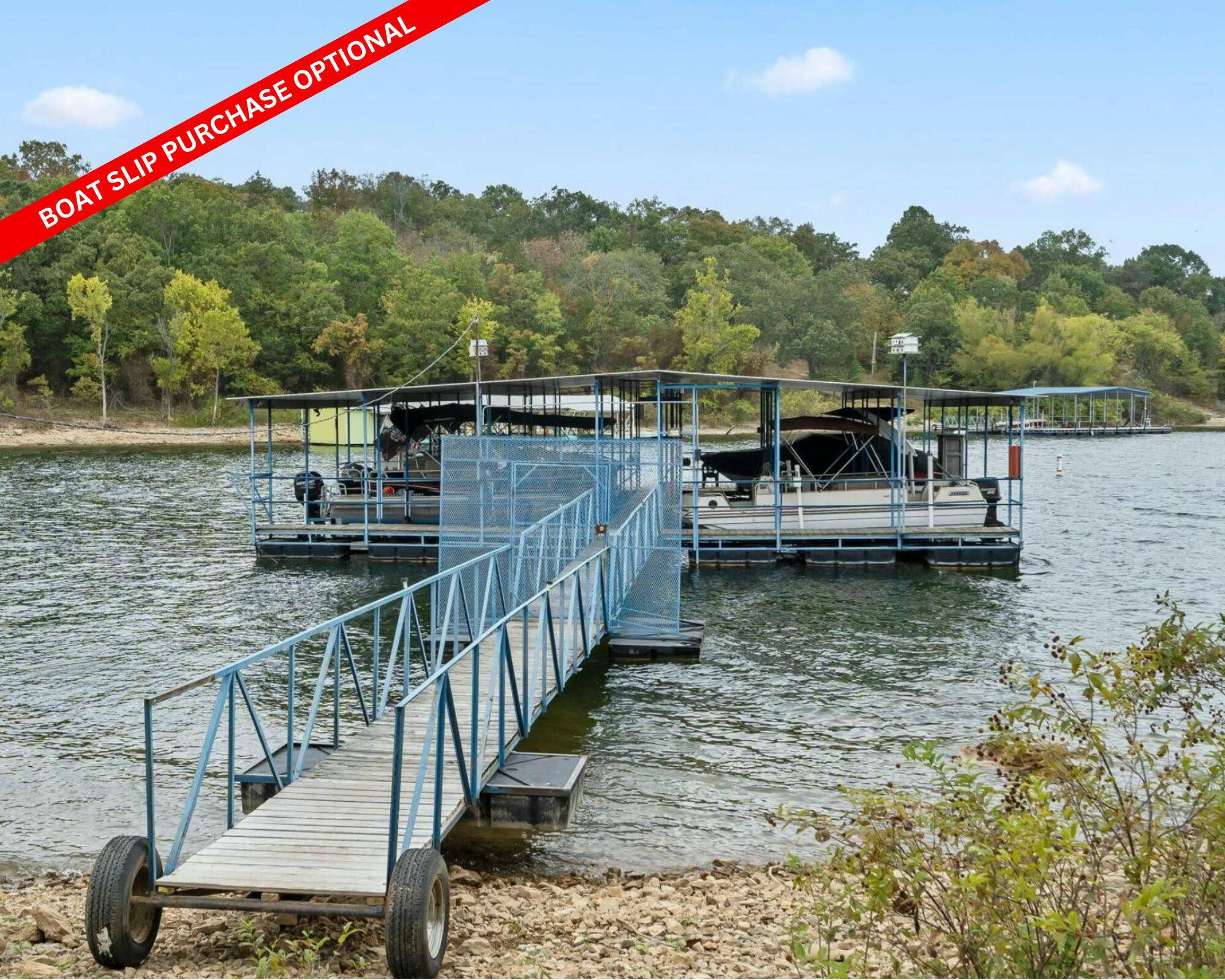 Lampe, MO 65681,25 Palomino CT