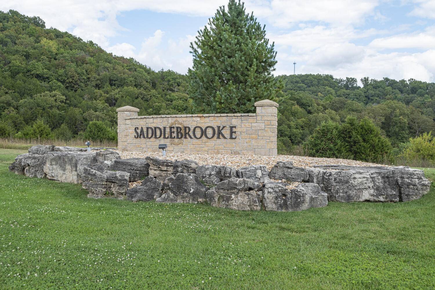 Saddlebrooke, MO 65630,132 A Seven Pines DR