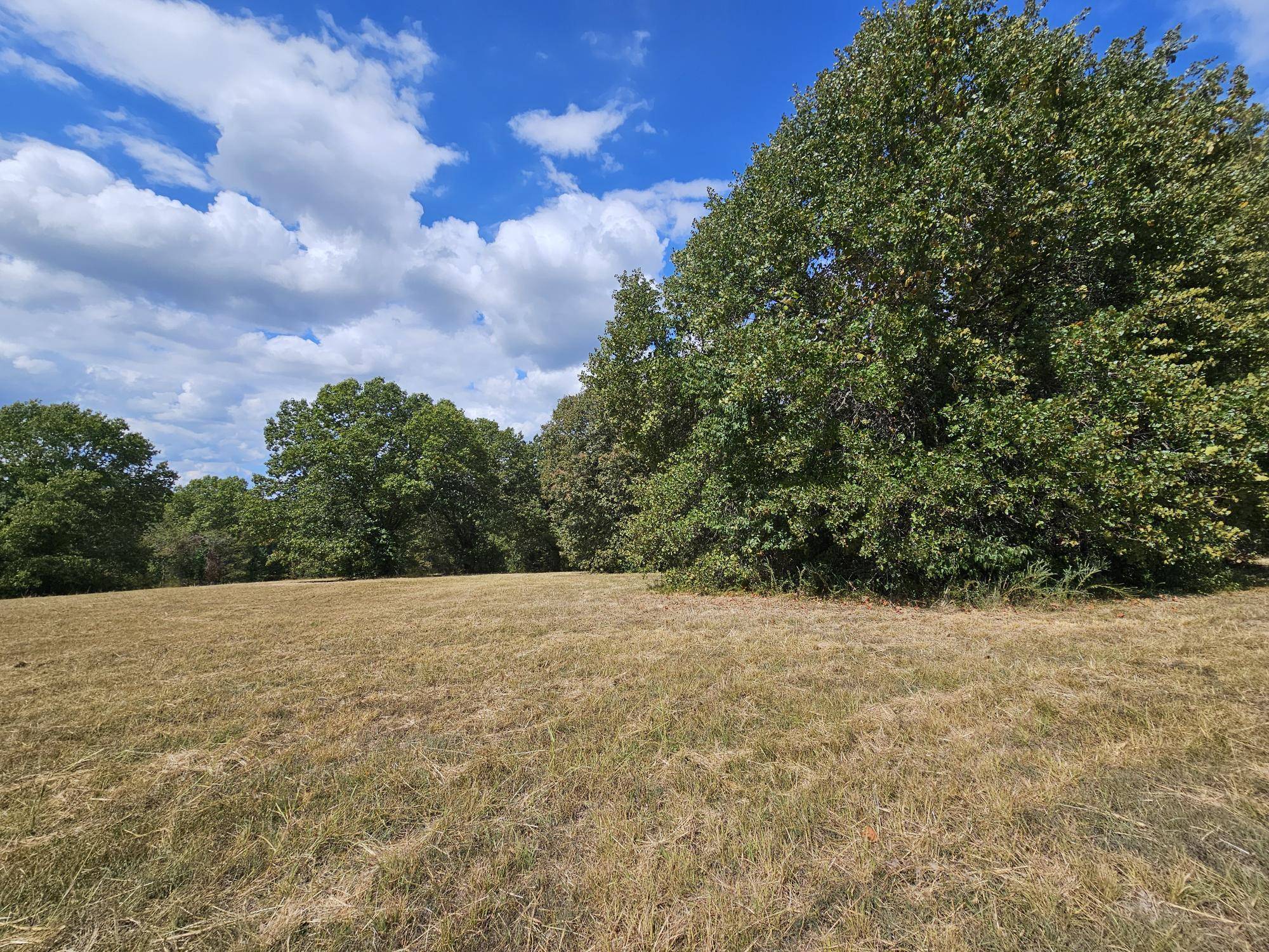 Anderson, MO 64831,5 Acres Candlestick LN