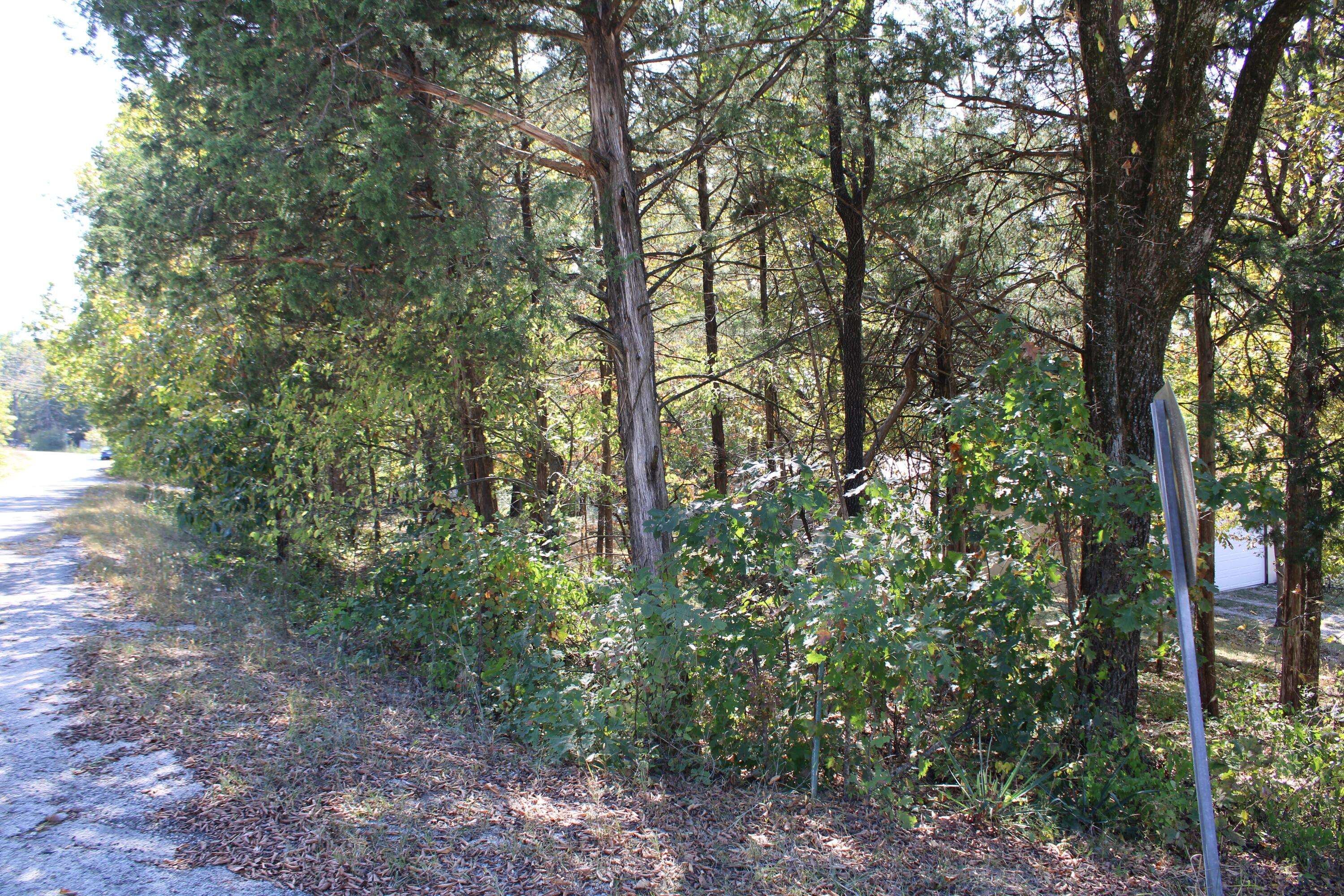 Merriam Woods, MO 65740,3090 Mockingbird RD #Lot 46