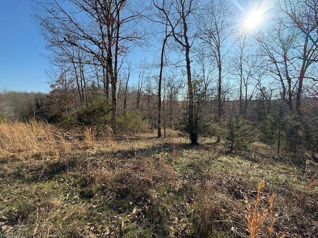 Dora, MO 65637,000 County Road 355 Lot 12