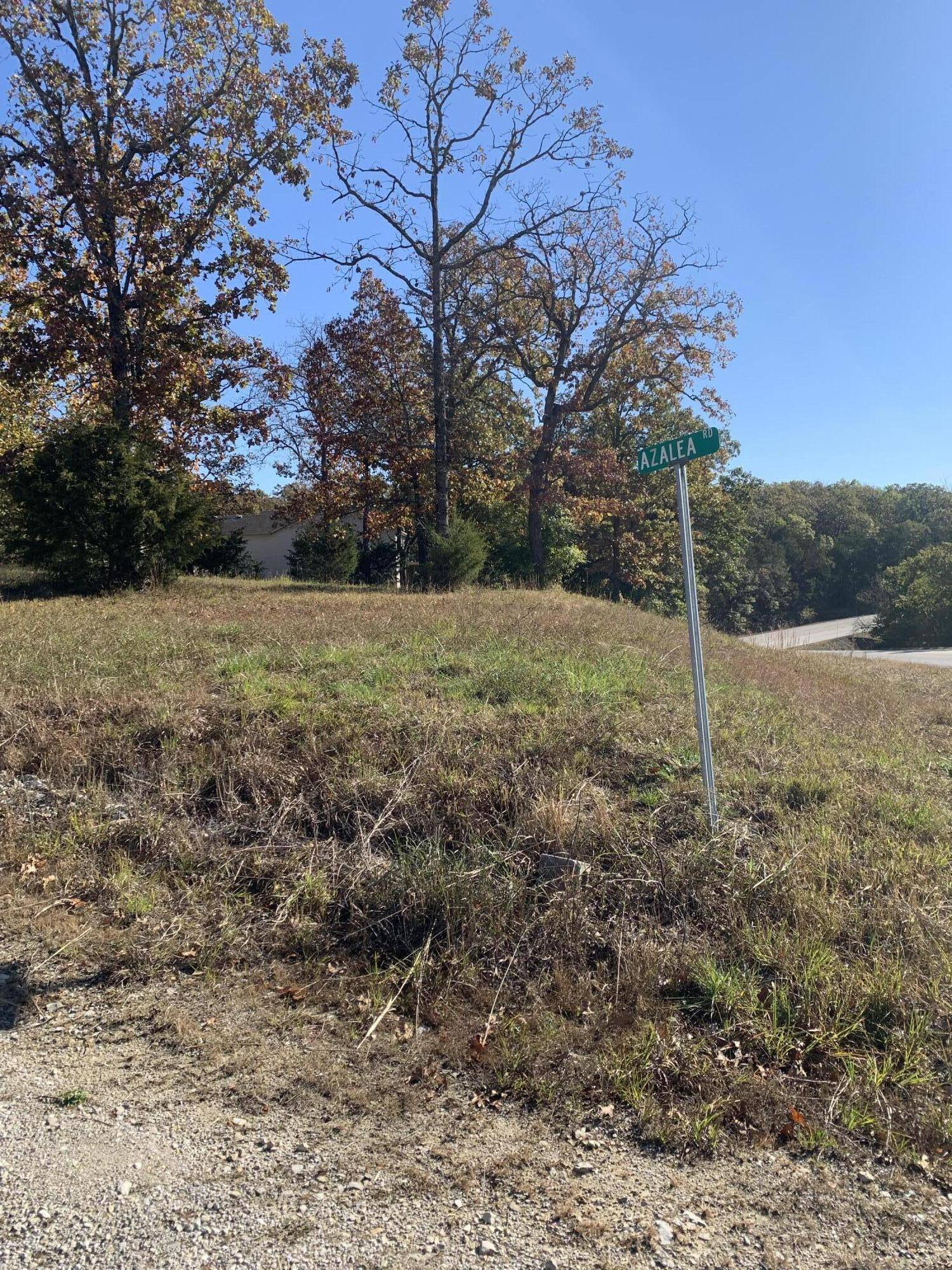 Merriam Woods, MO 65740,Lot 46 Azalea RD