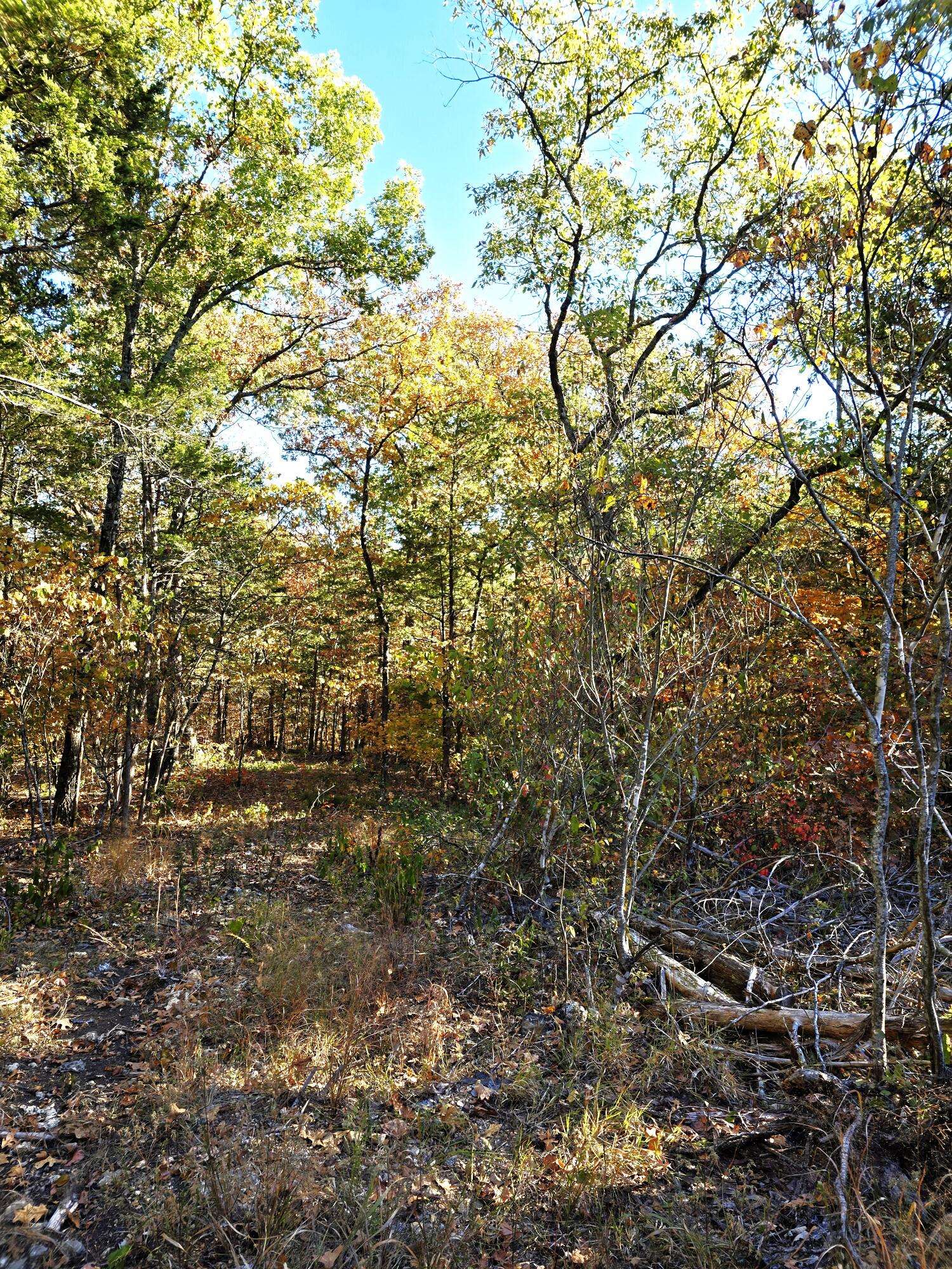 Kissee Mills, MO 65680,000 Tbd Nazarene Church RD