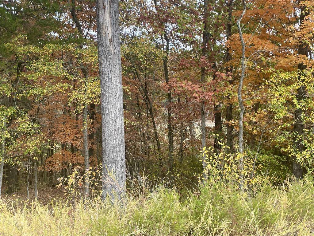 Branson, MO 65616,Lot 15 Shinnecock Hills DR