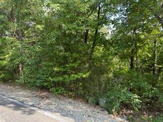 Branson West, MO 65737,Lot 3 Silver Cliff WAY