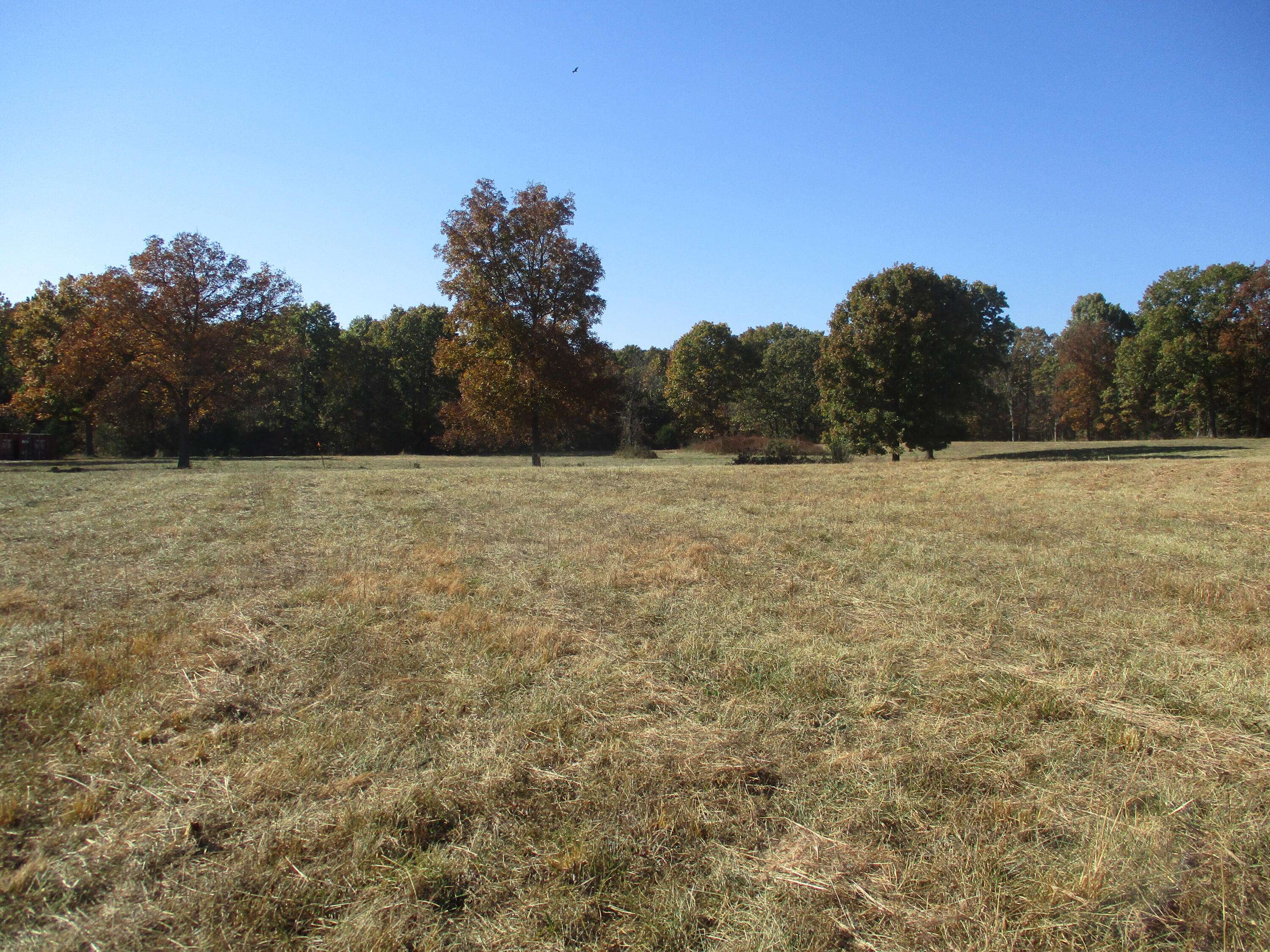 Mansfield, MO 65704,000 Slate Road