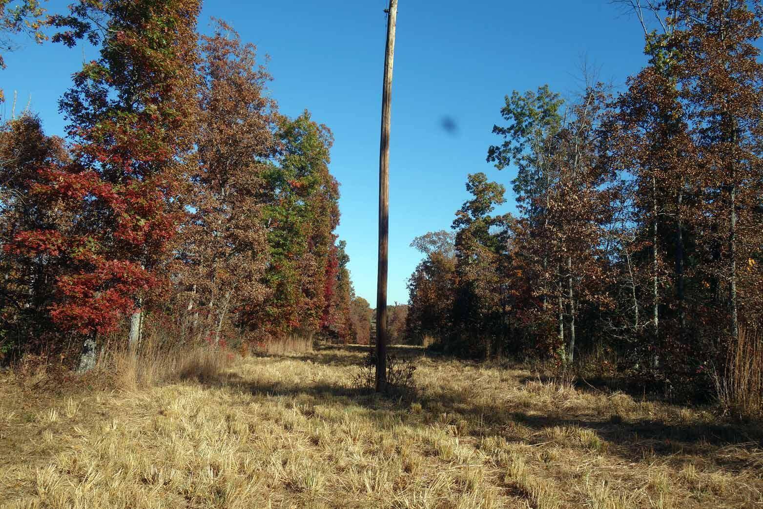 Summersville, MO 65571,000 County Road 331