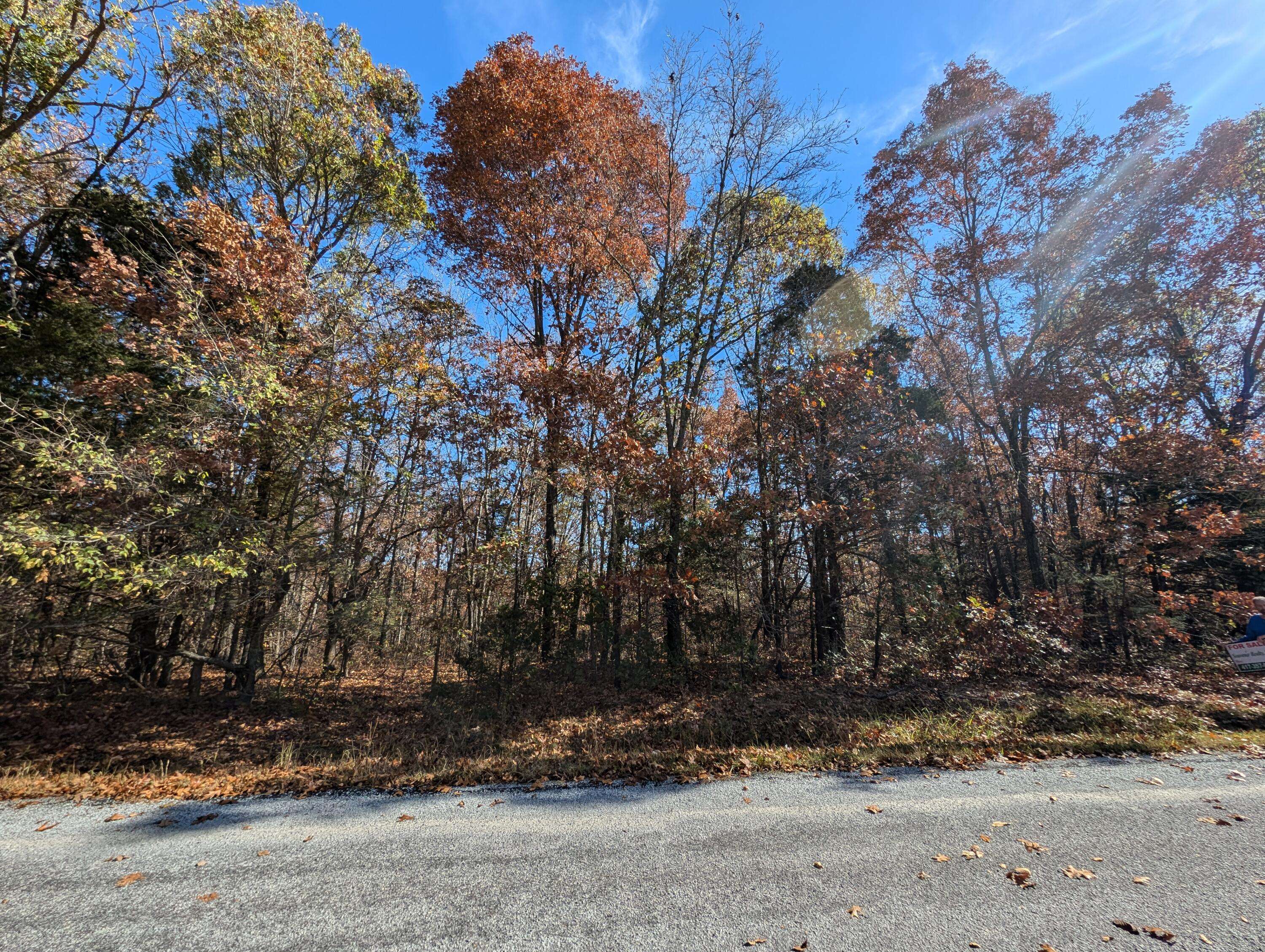 Cape Fair, MO 65624,000 Ridgeview Point